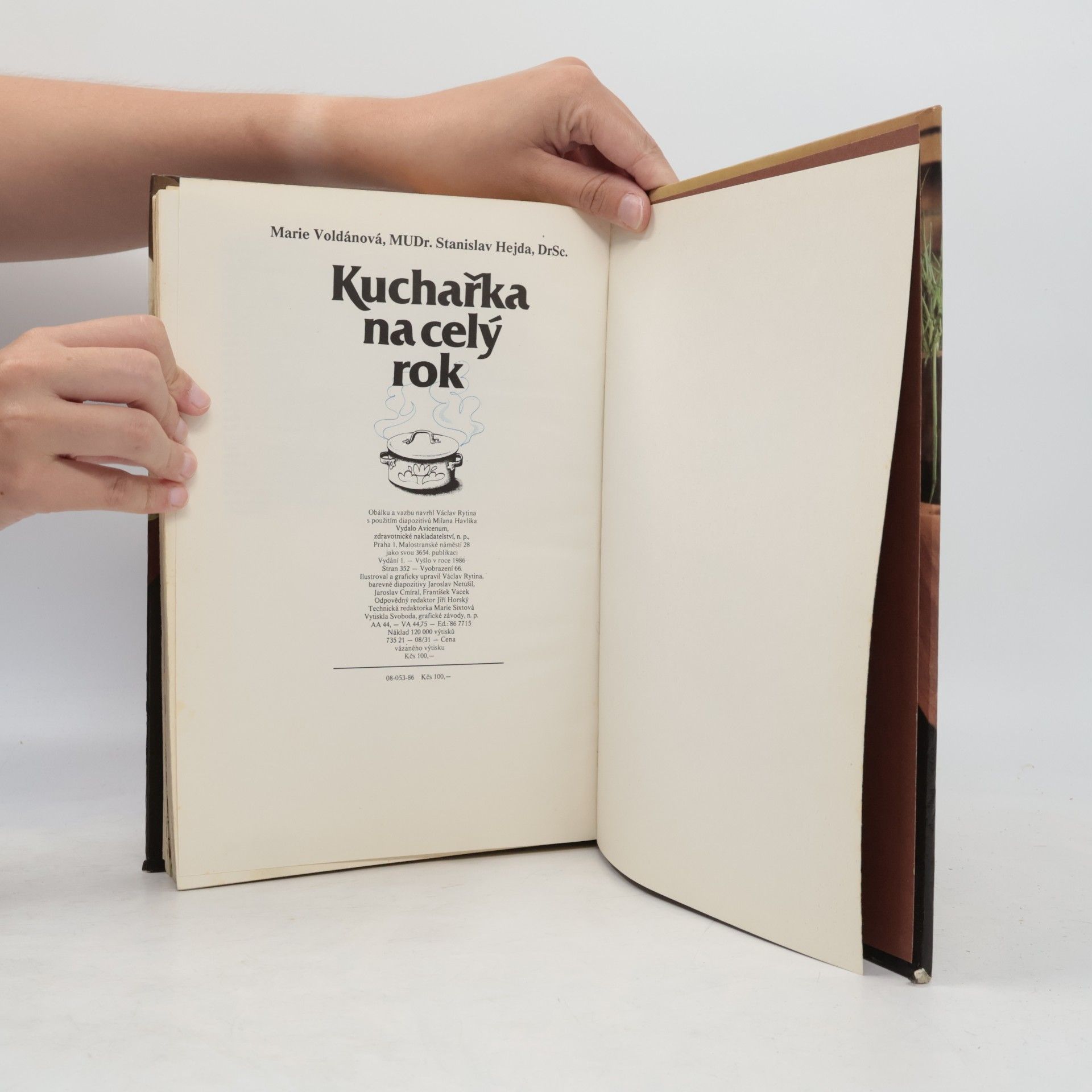 Marie Voldánová Kuchařka na celý rok