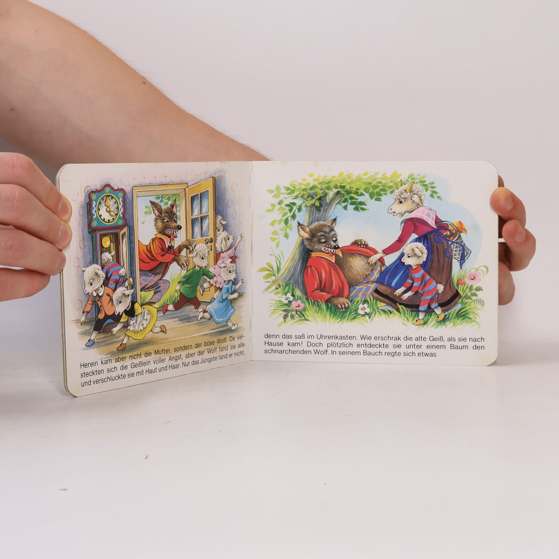 kolektiv Erste kleine Märchenbücher Hänsel und Gretel