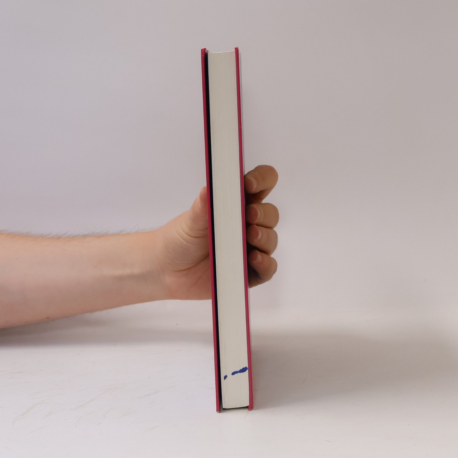 Irina Korschunow Das große Wawuschel-Buch