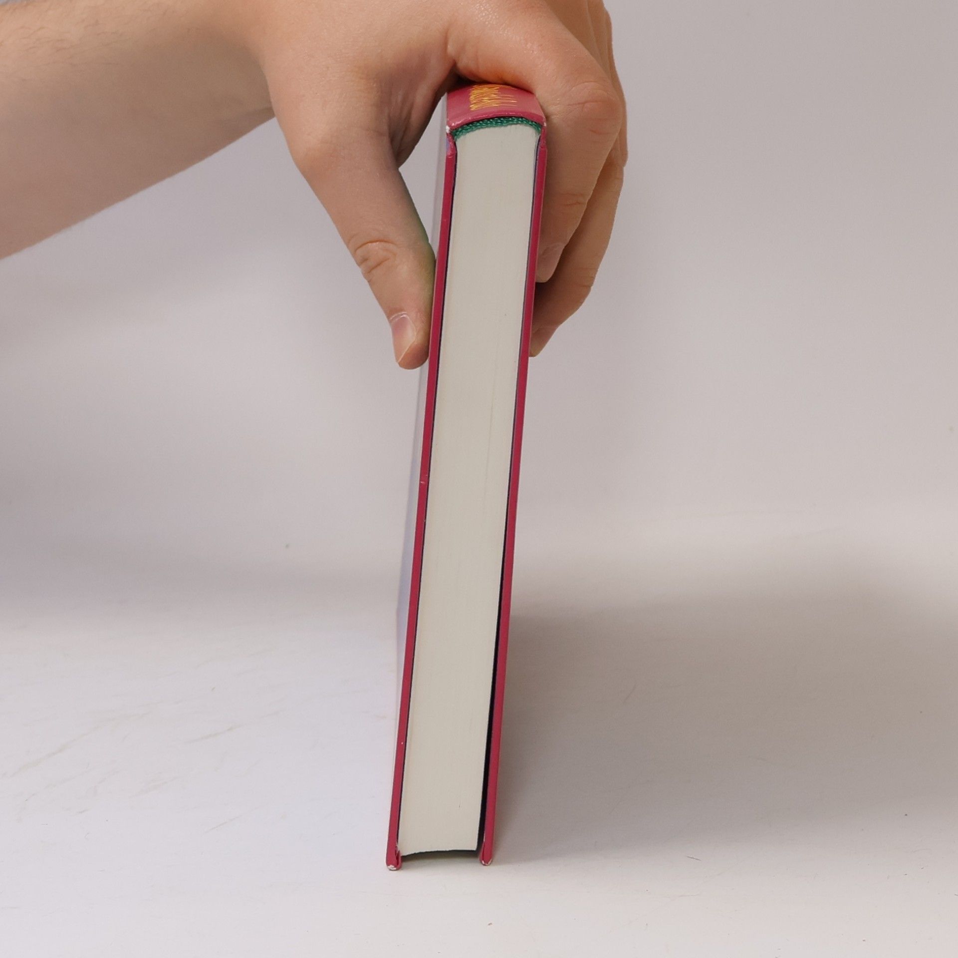 Irina Korschunow Das große Wawuschel-Buch
