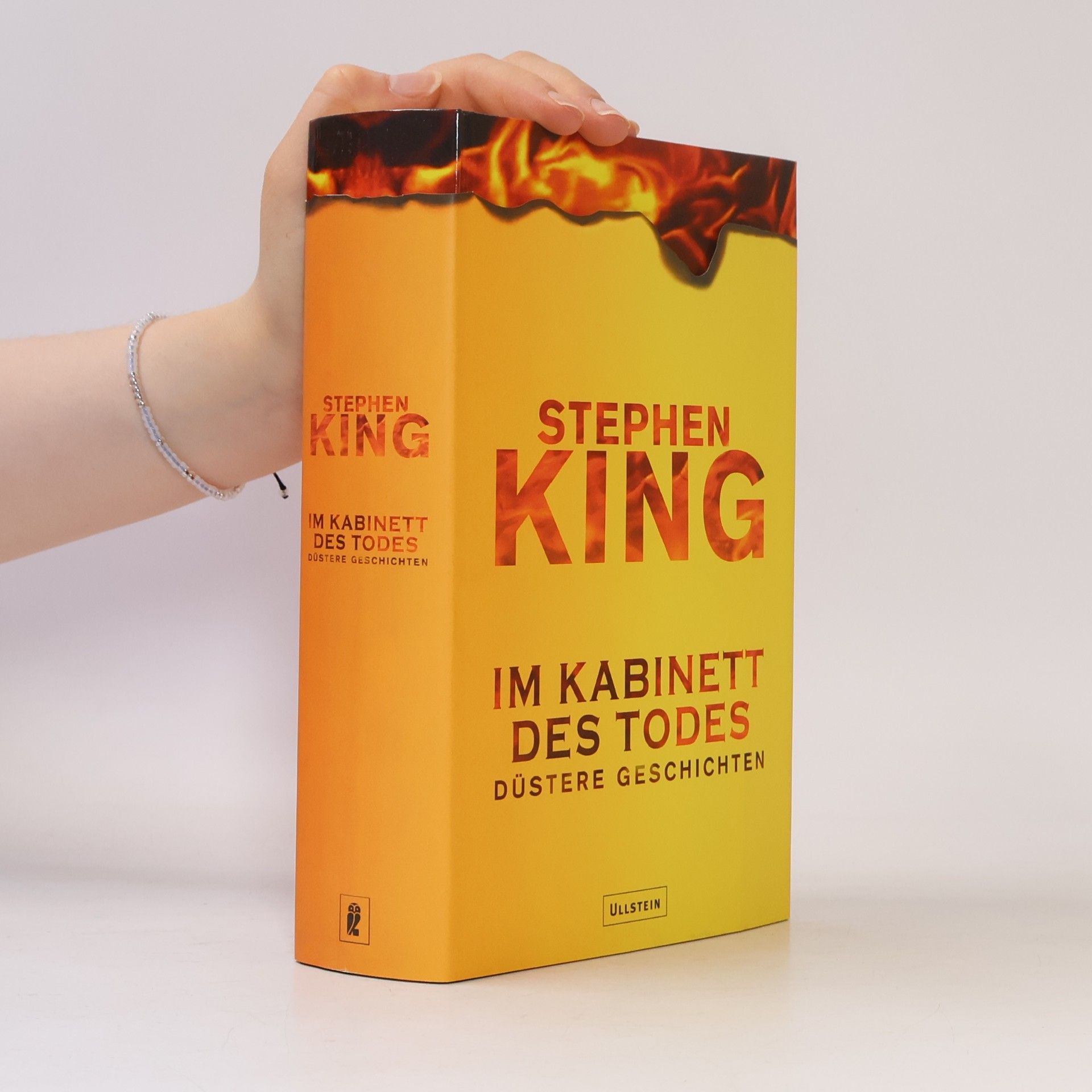 Stephen King Im Kabinett des Todes