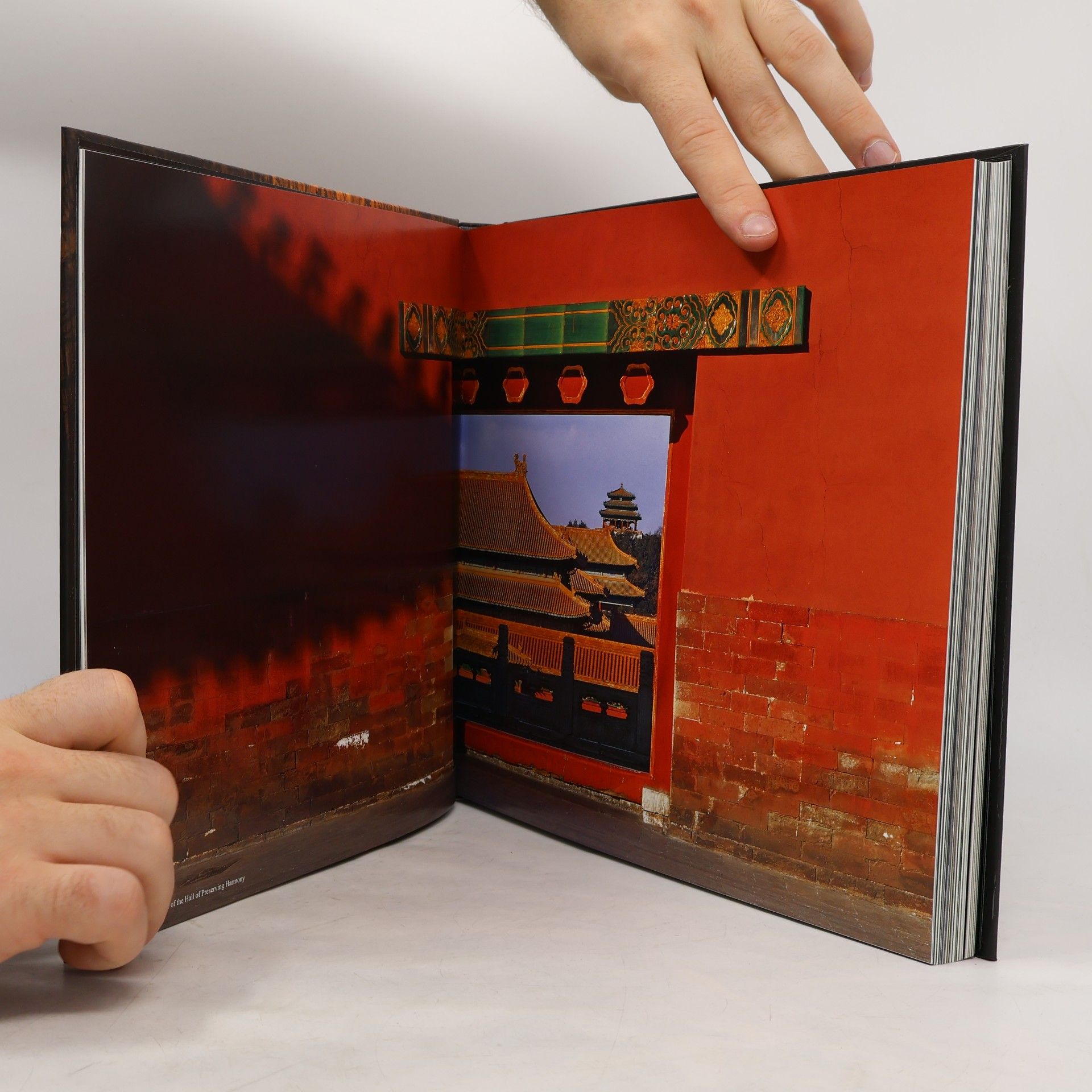 Li Shaobai  看不见的故宮. The Invisible Palace
