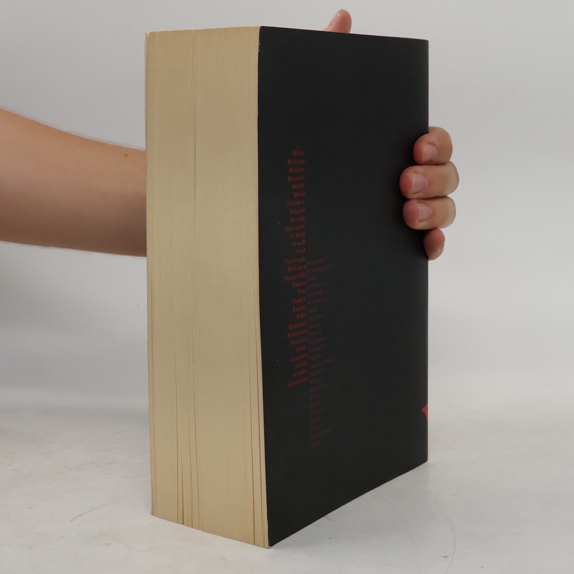 Kolektív autorov Kindlers neues Literatur Lexikon 17