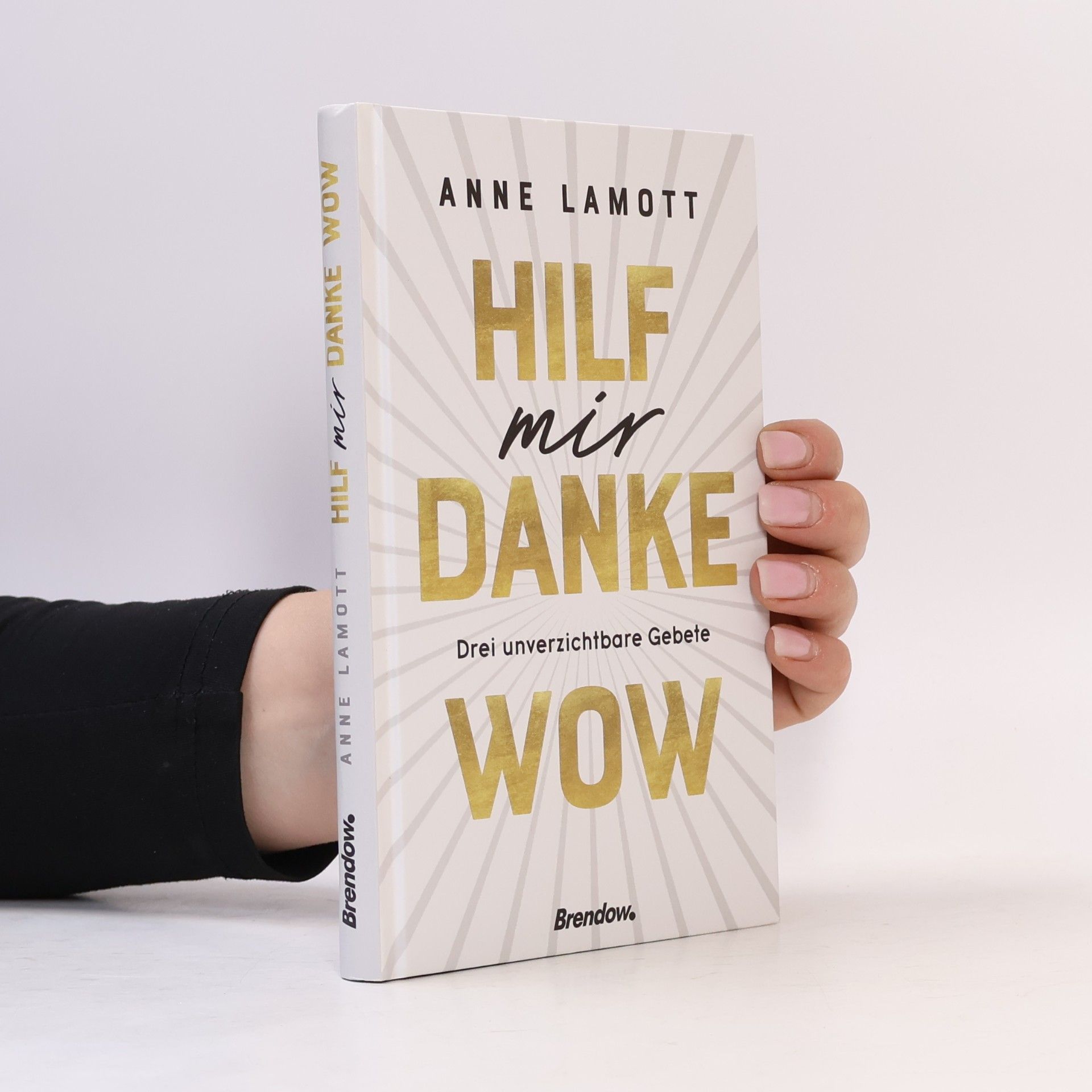 Anne Lamott Hilf mir. Danke. Wow.