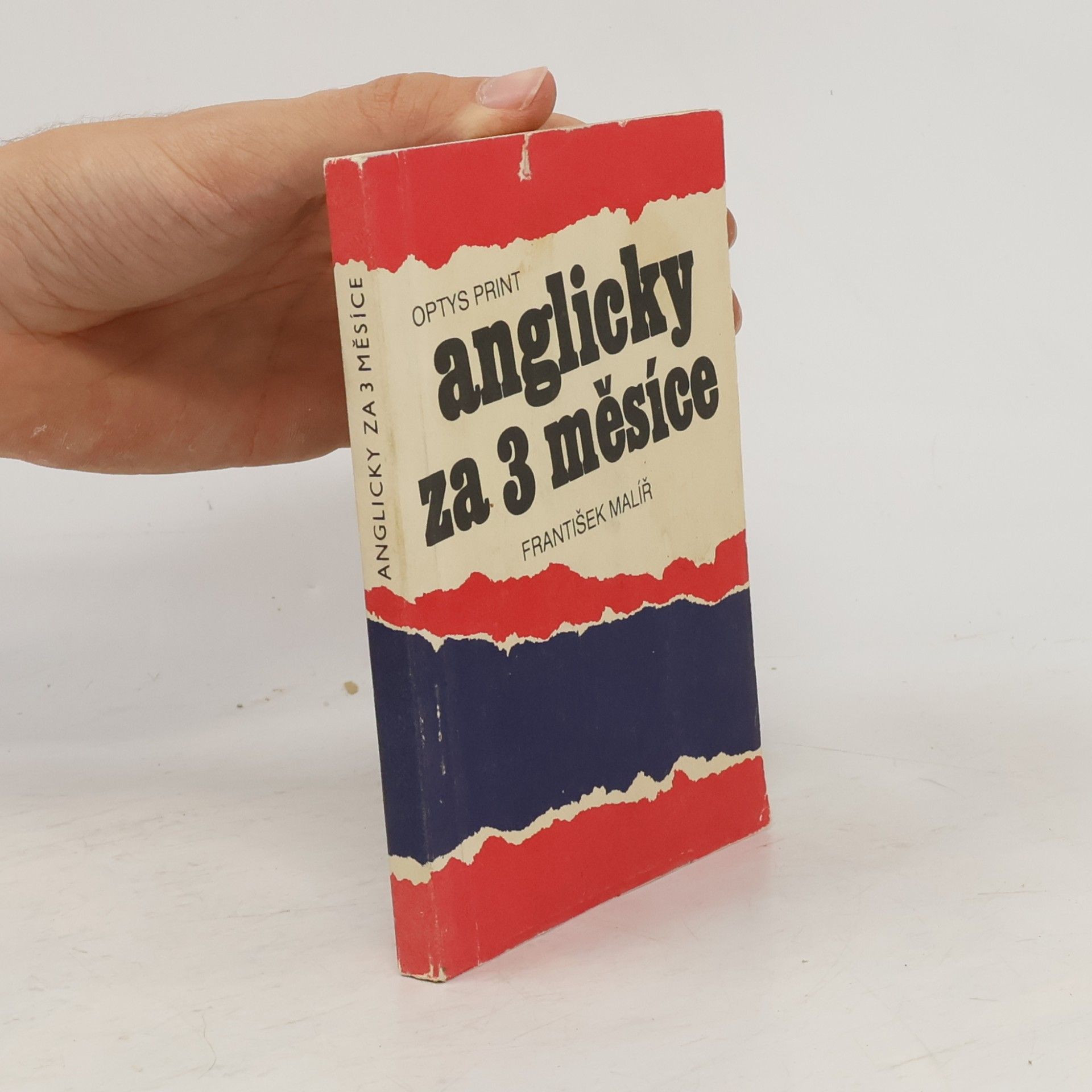 František Malíř Anglicky za 3 měsíce