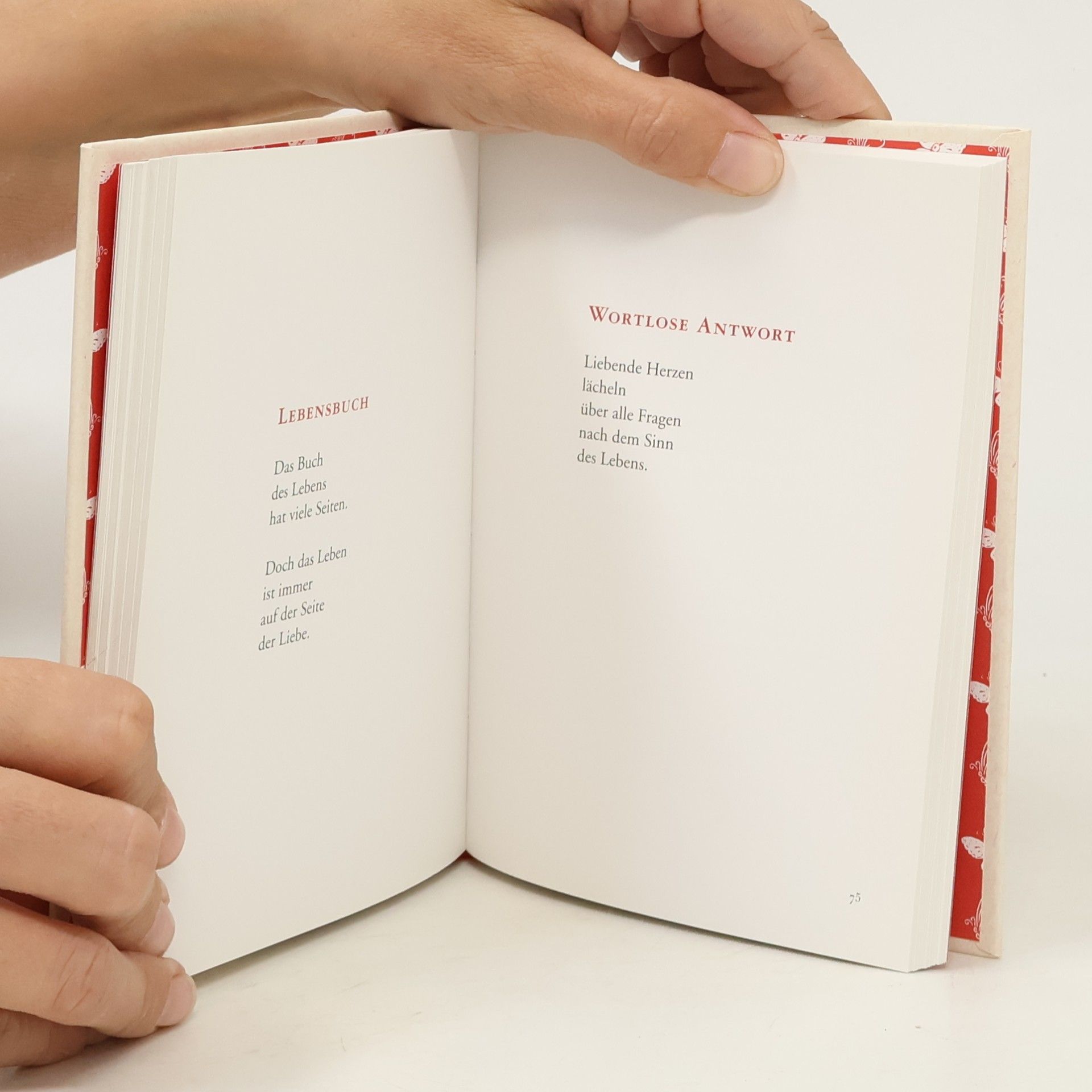 Hans Kruppa Das kleine Buch des großen Glücks