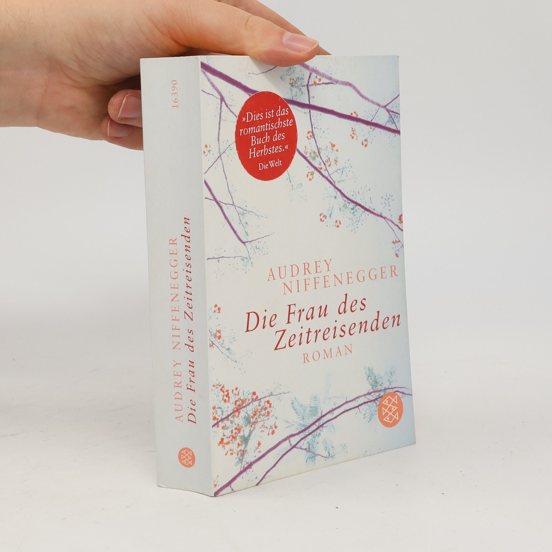 Audrey Niffenegger Die Frau des Zeitreisenden