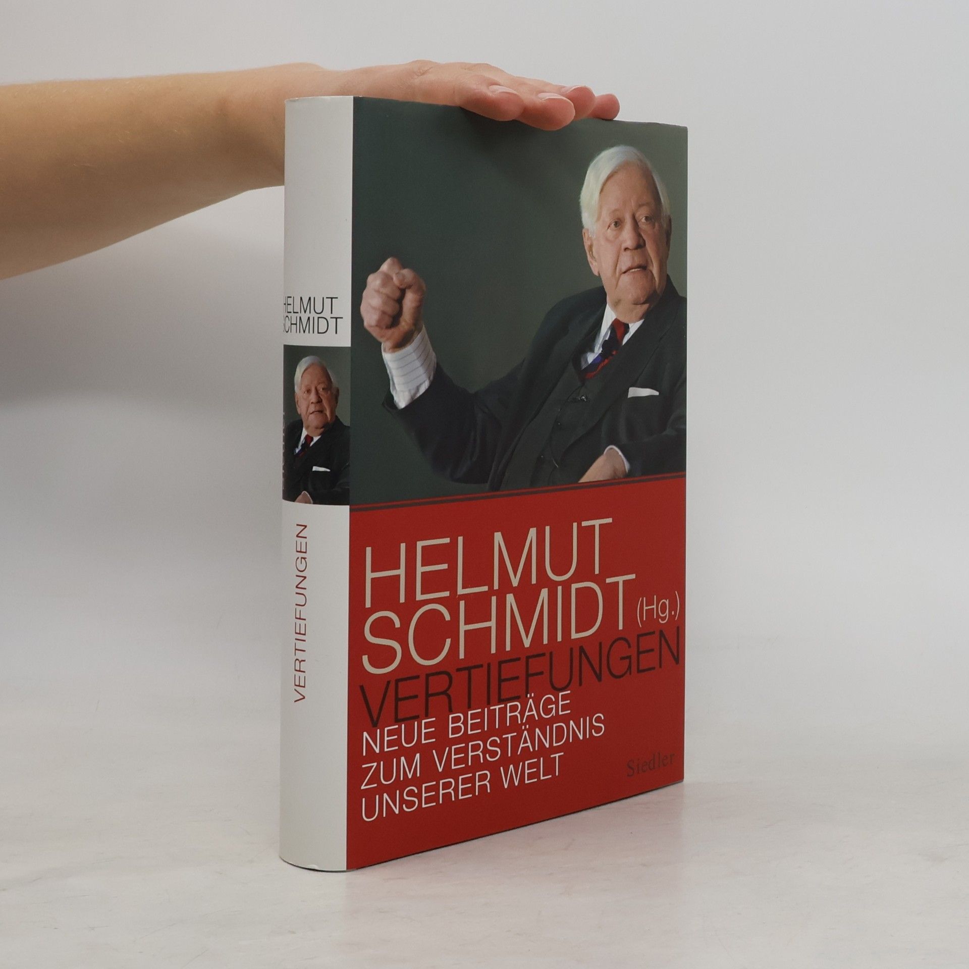 Helmut Schmidt Vertiefungen