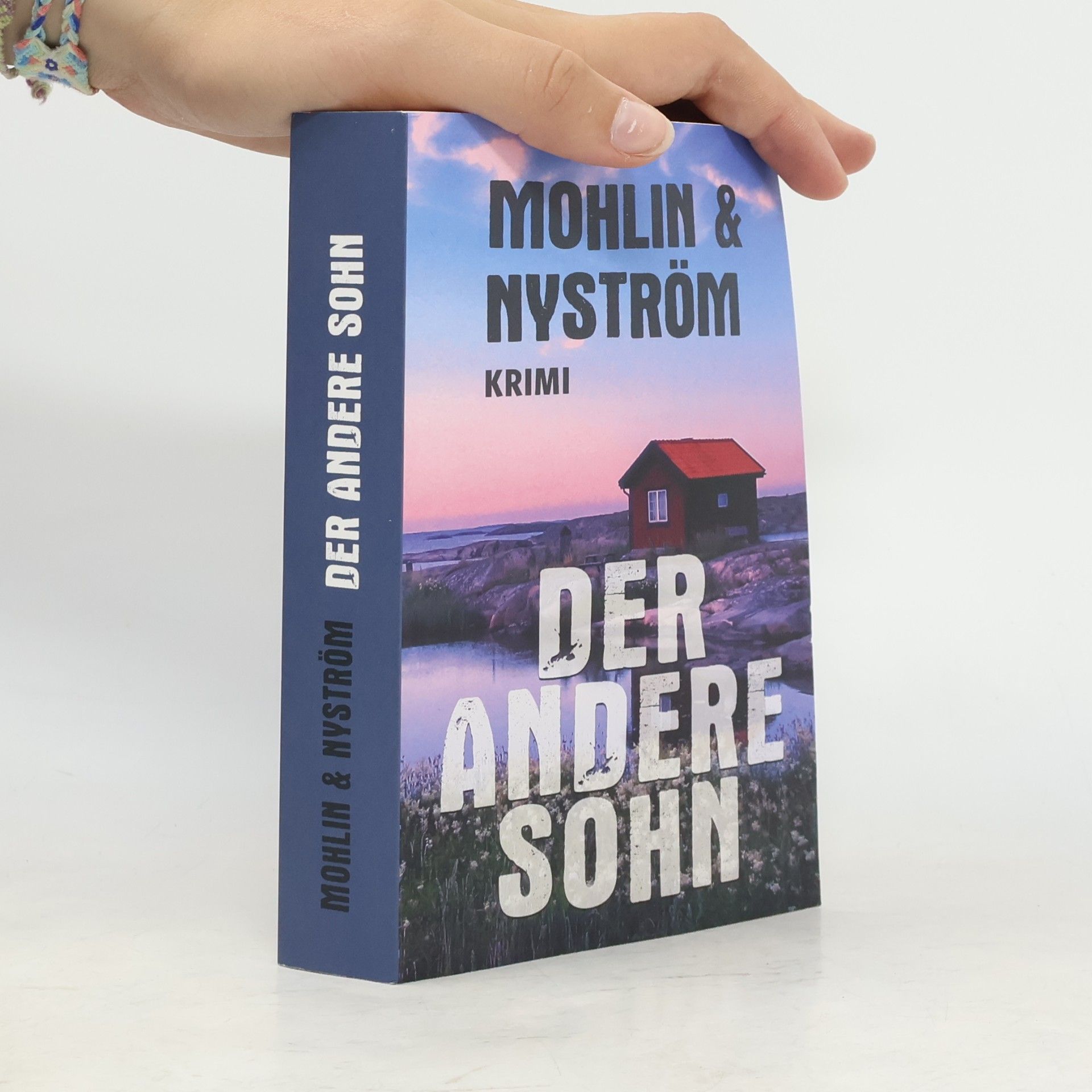 Peter Mohlin Der andere Sohn