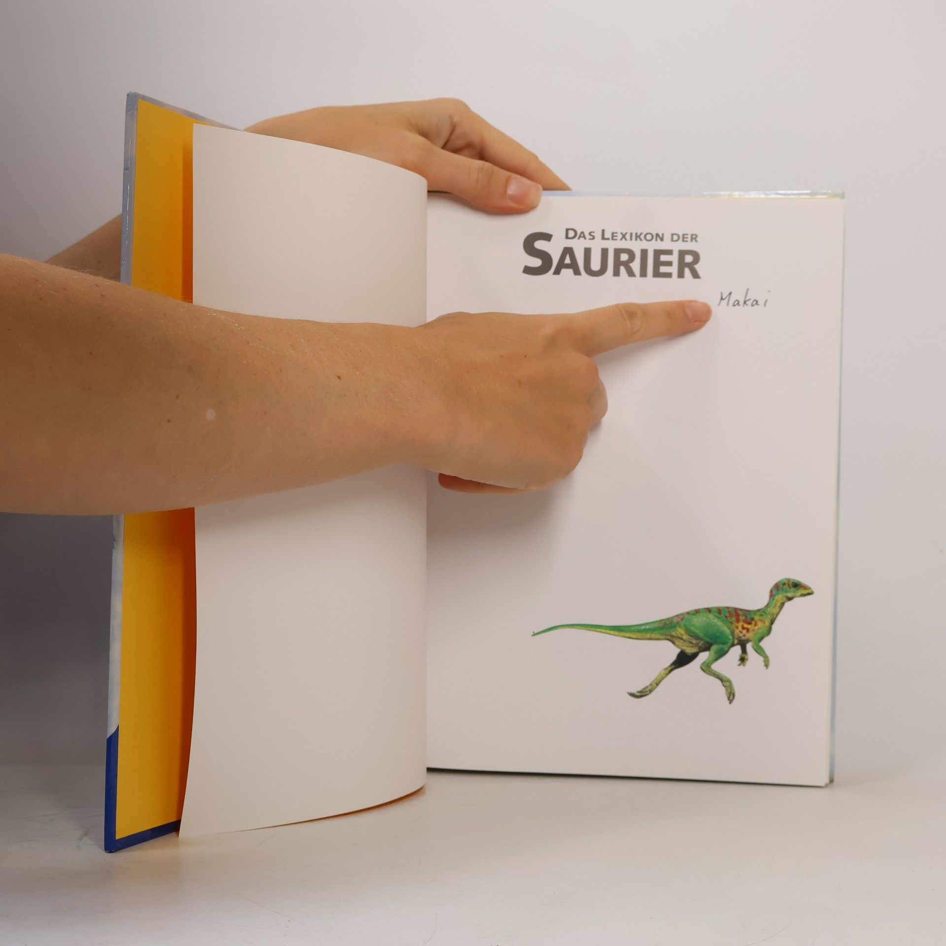 Jinny Johnson Das Lexikon der Saurier