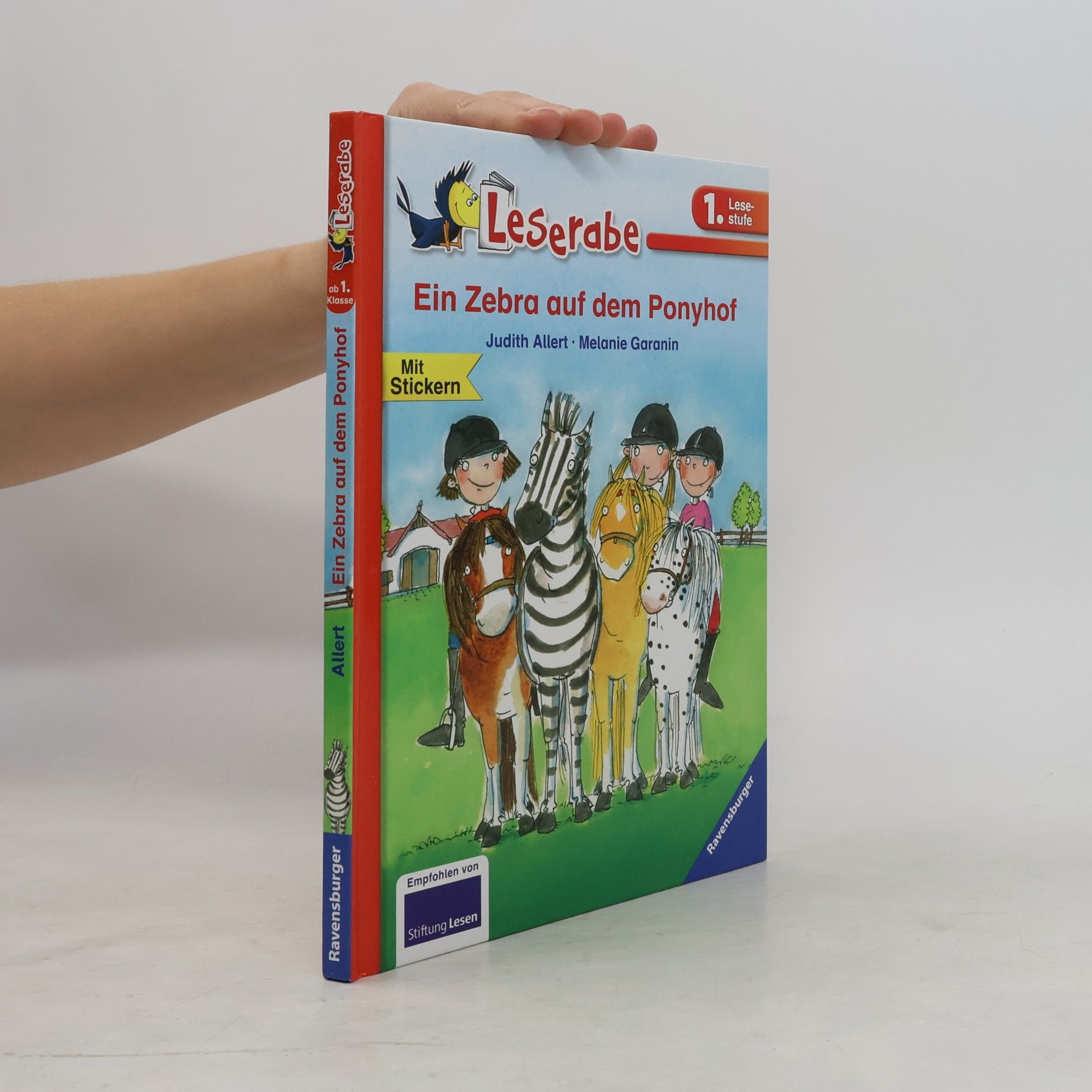 Judith Allert Ein Zebra auf dem Ponyhof