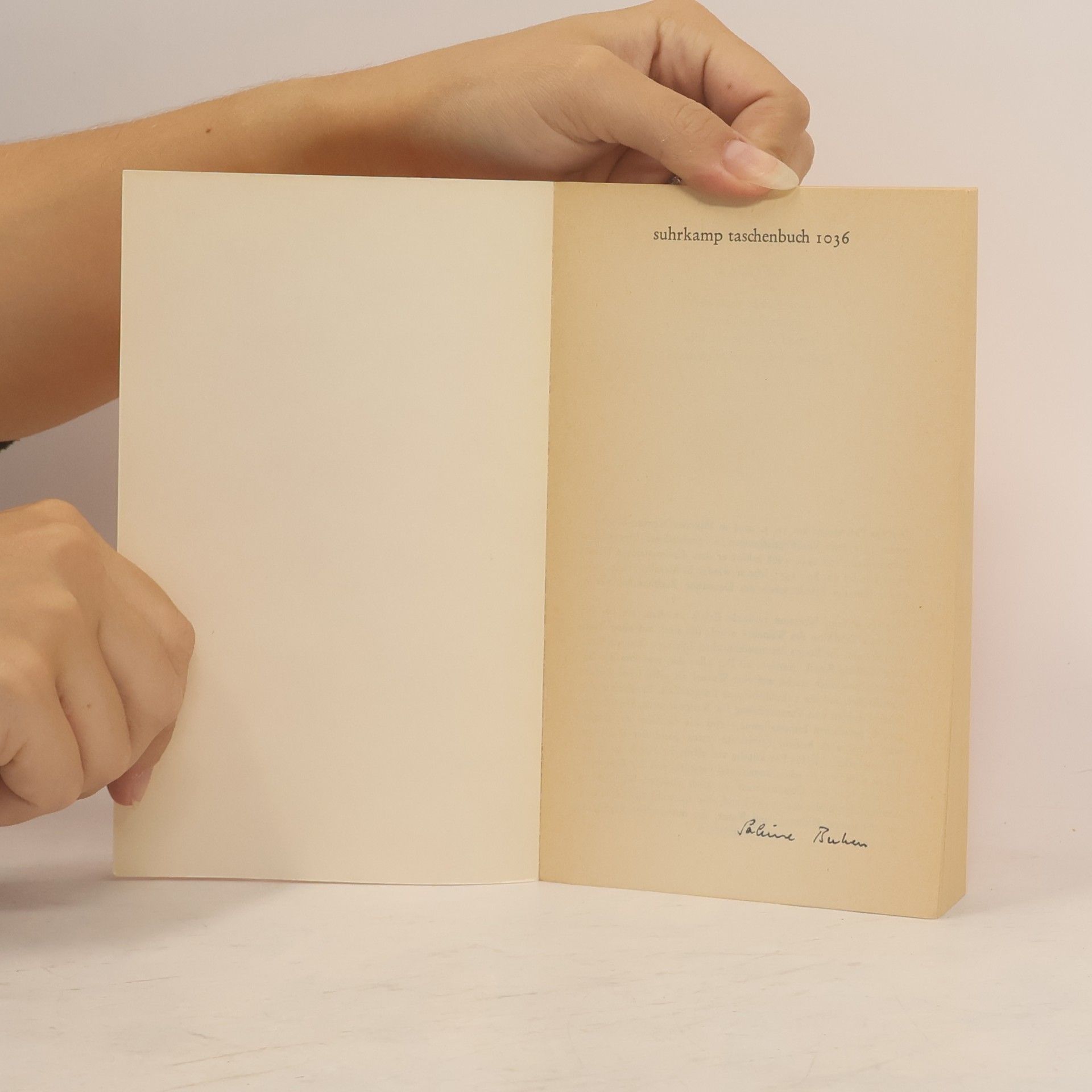 Octavio Paz Essays