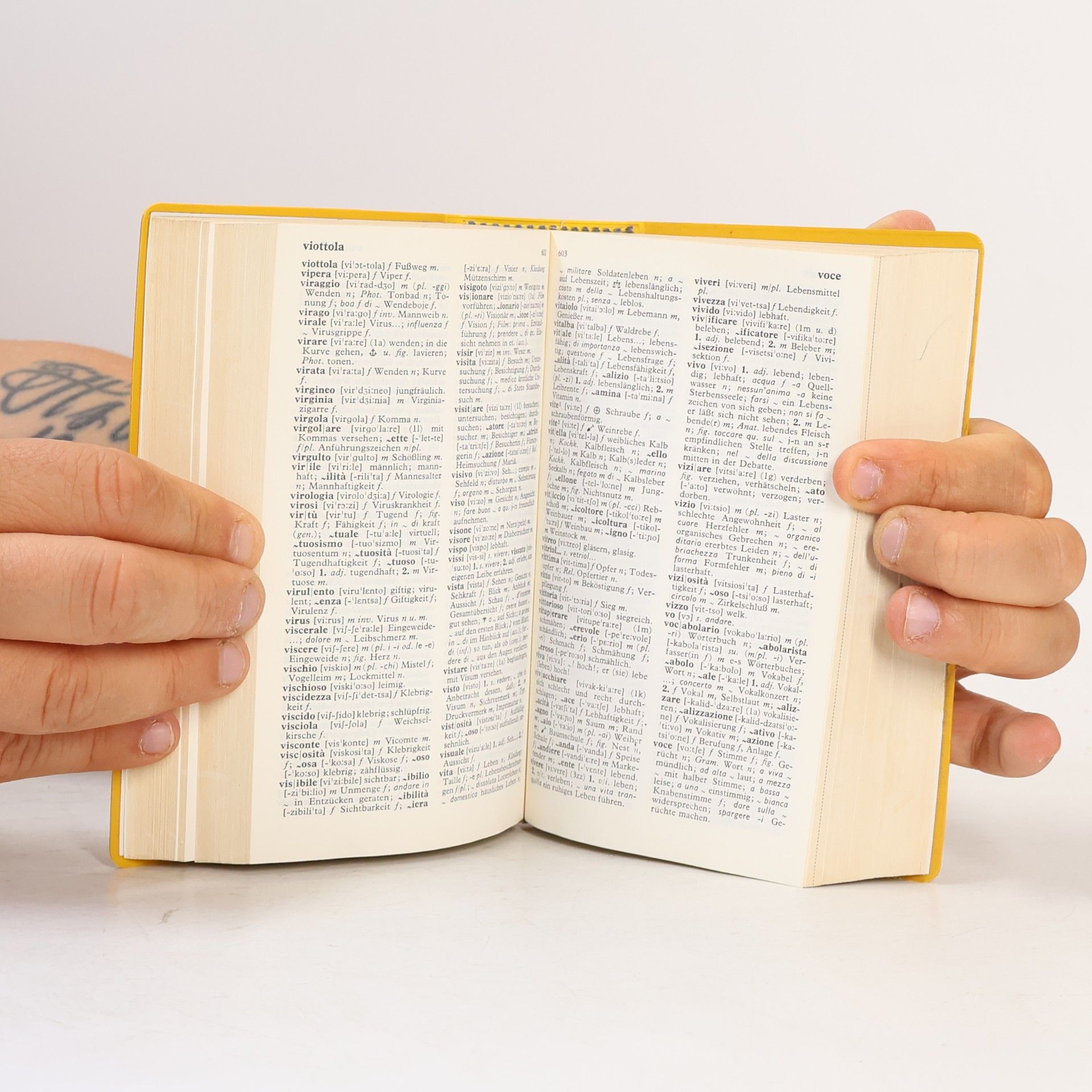 Autores varios Langenscheidts Taschenwörterbuch: Italienisch