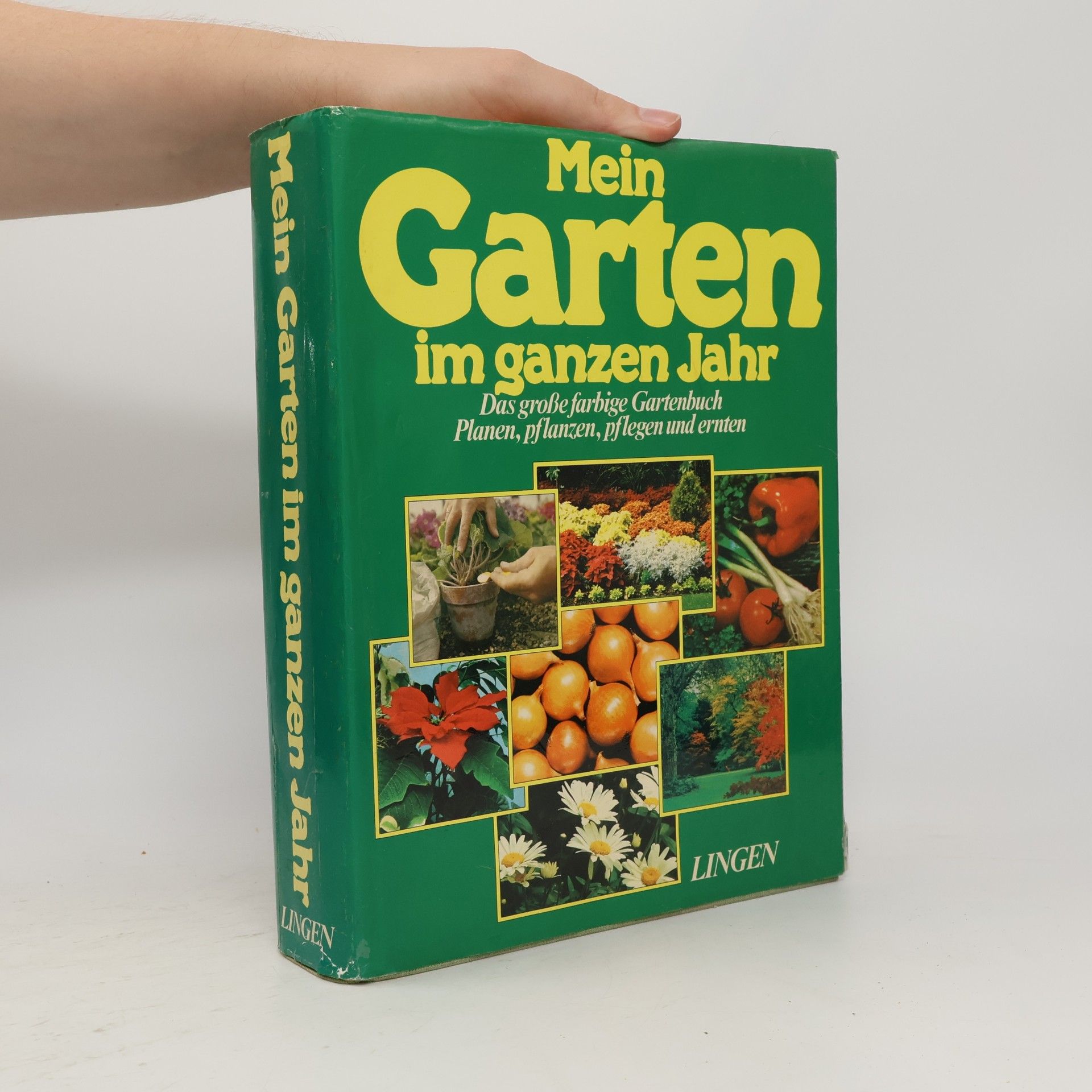Autorenkollektiv Mein Garten im ganzen Jahr
