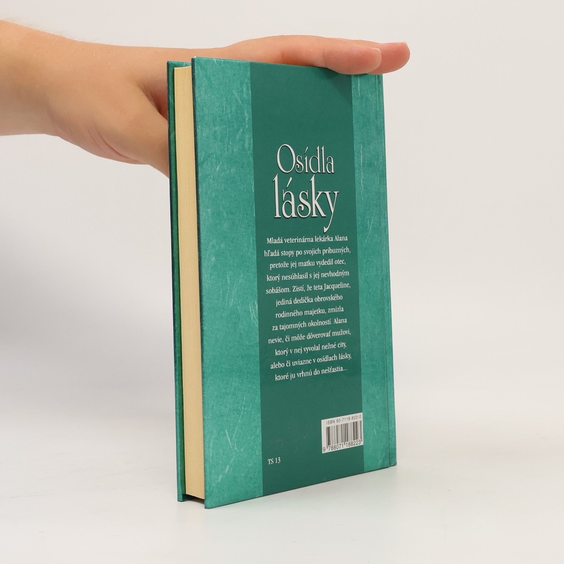 Meagan McKinney Osídla lásky