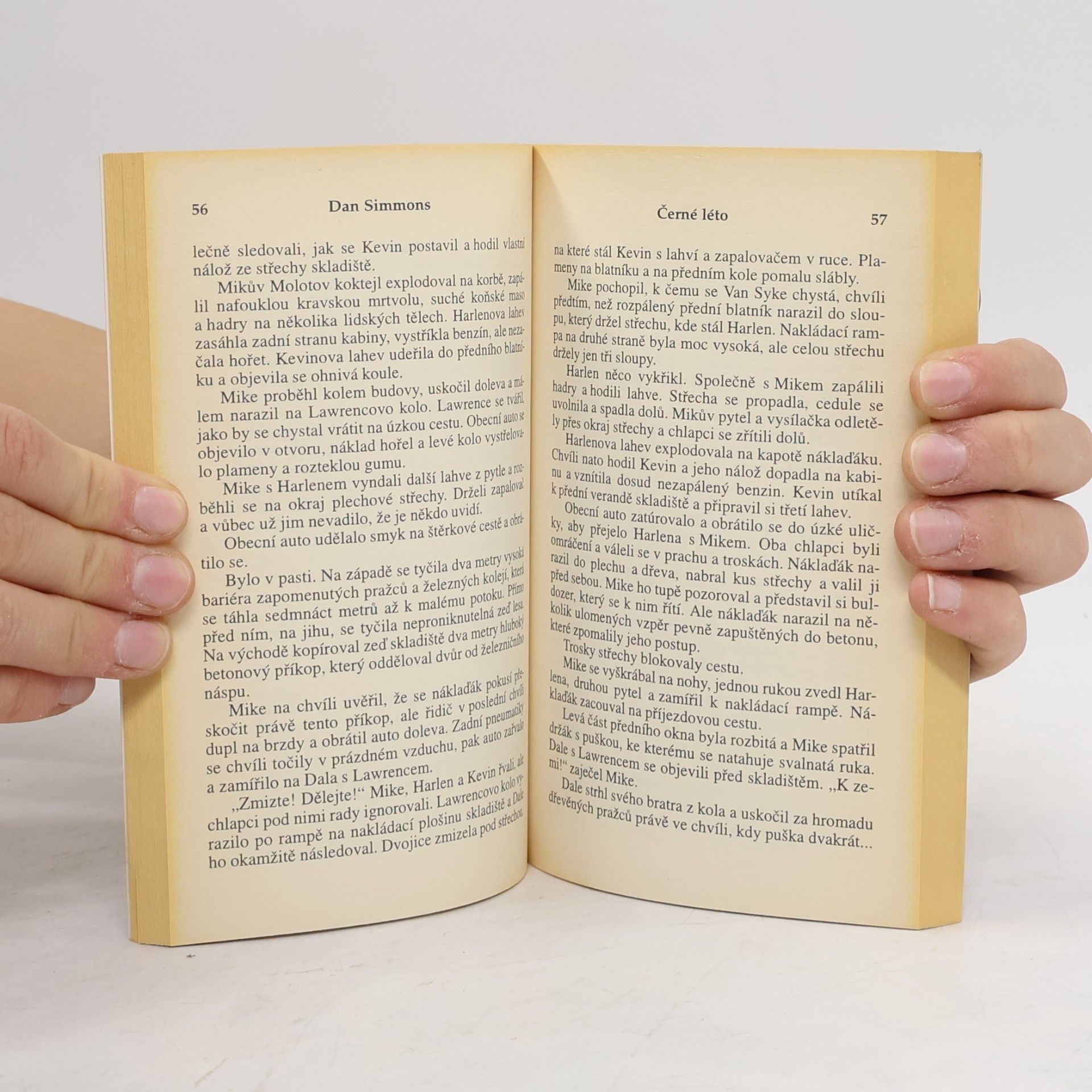 Dan Simmons Černé léto. Svazek 2