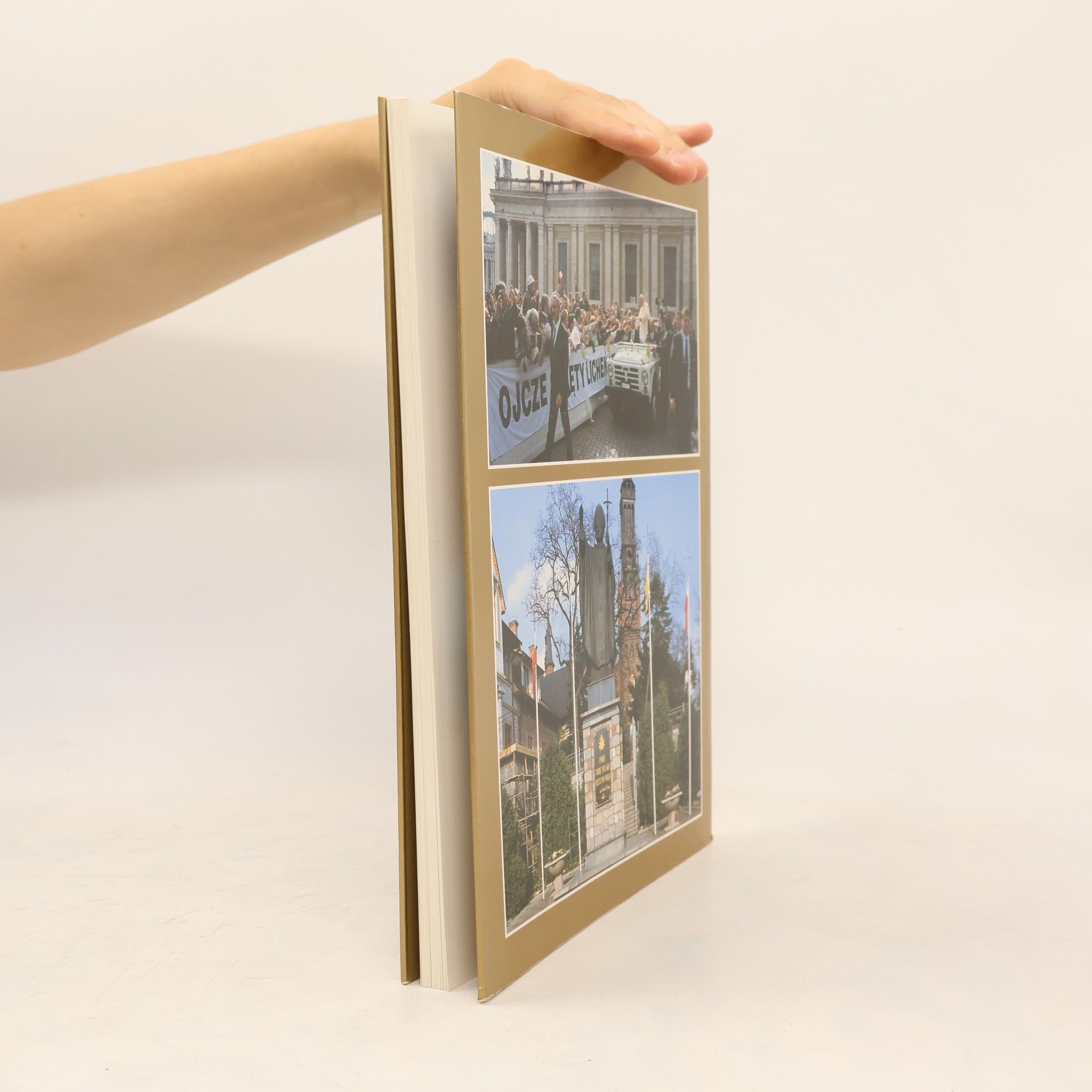 Collectif d'auteurs Sanktuarium Maryjne w Licheniu