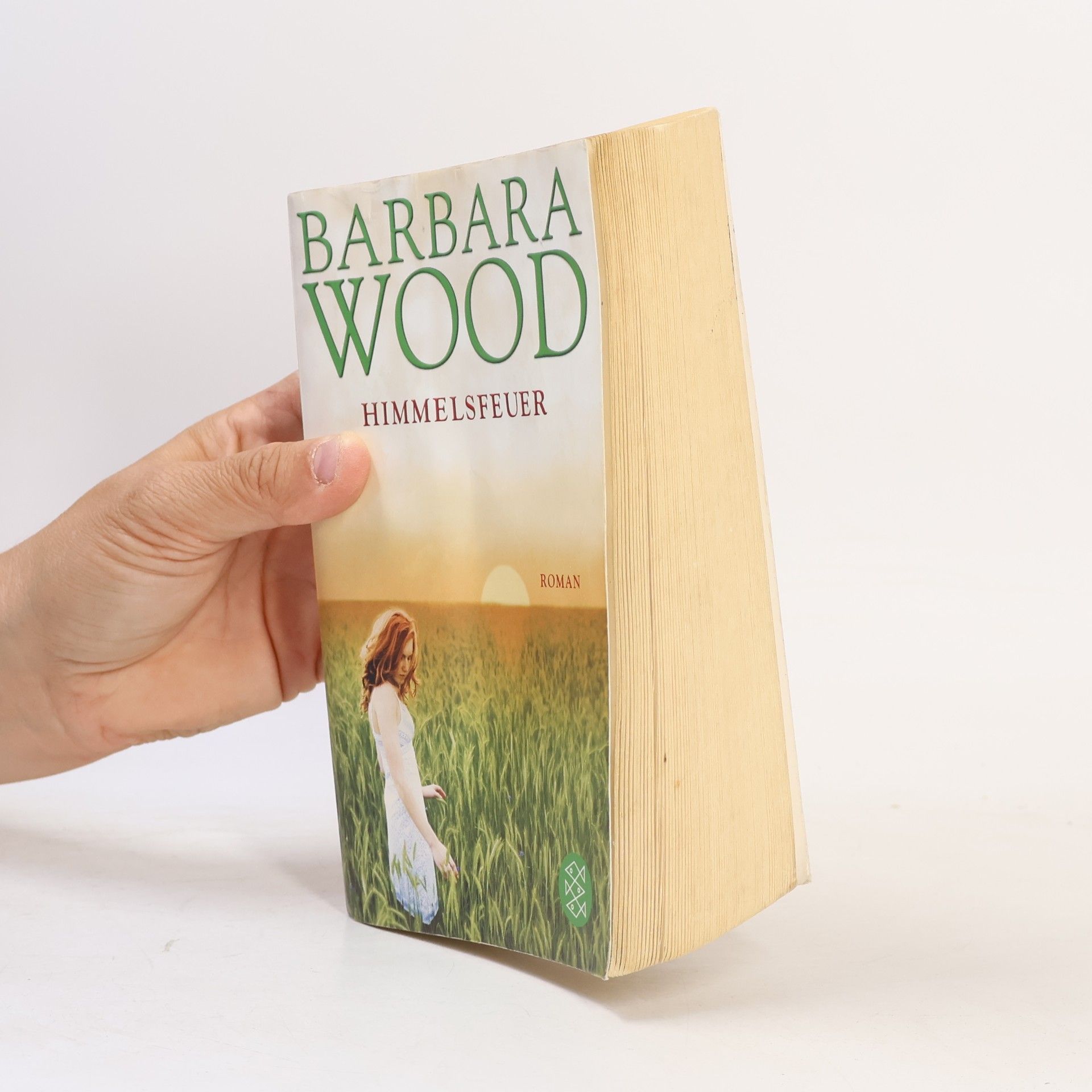 Barbara Wood Himmelsfeuer