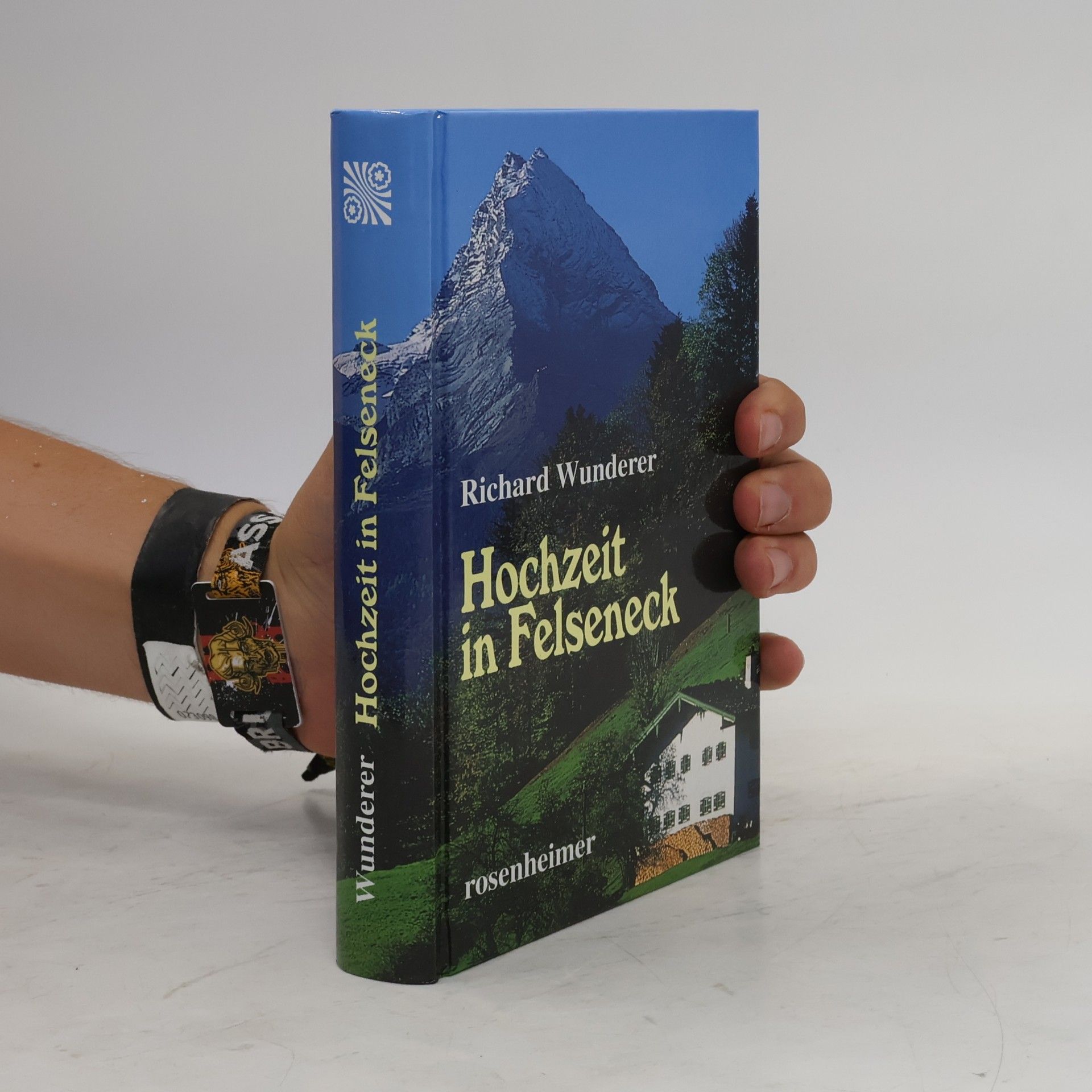 Richard Wunderer Hochzeit in Felseneck : Roman