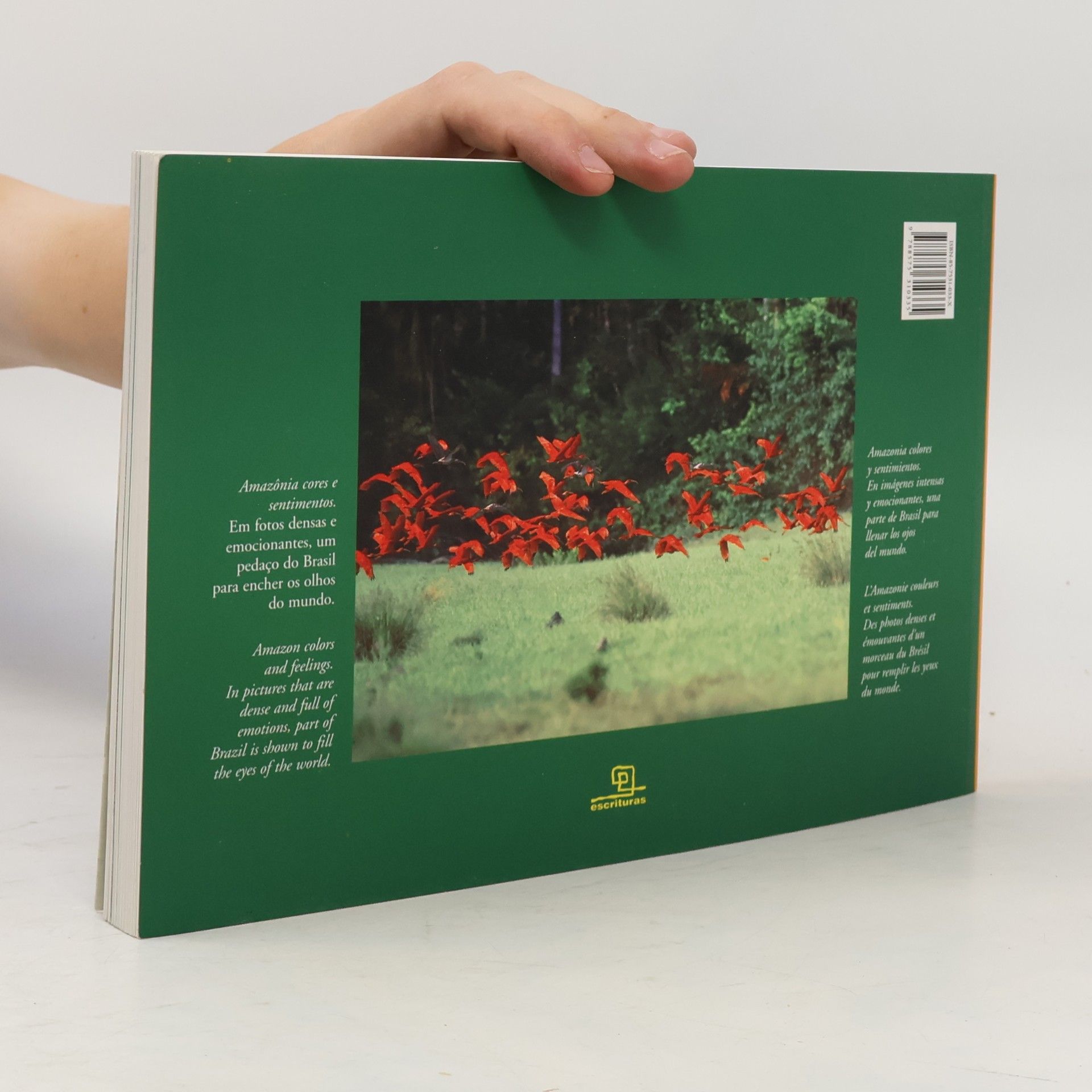 Leonide Principe Amazônia