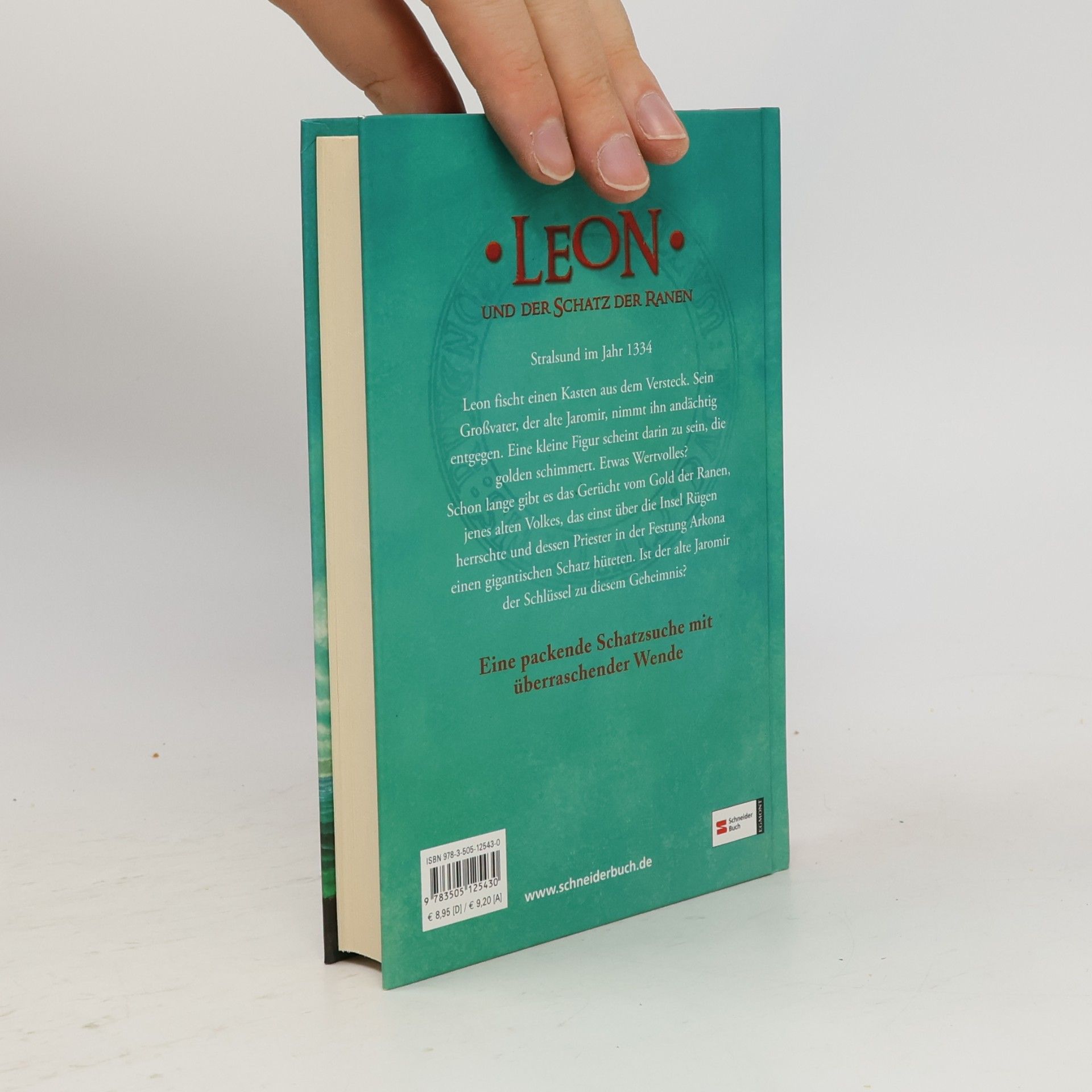 Eva Maaser Leon und der Schatz der Ranen 4