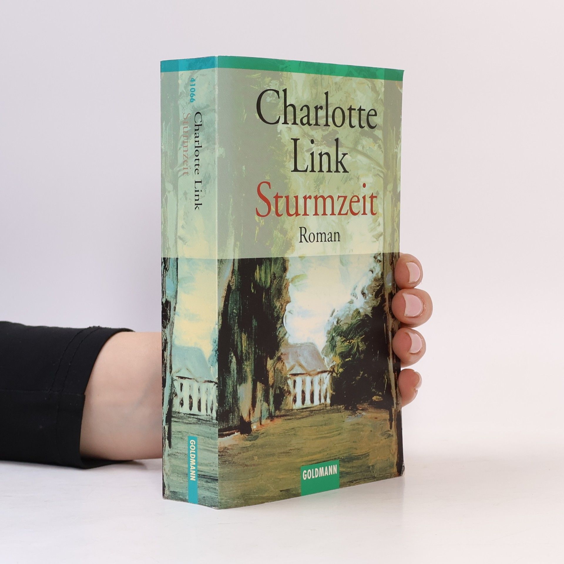 Charlotte Link Sturmzeit