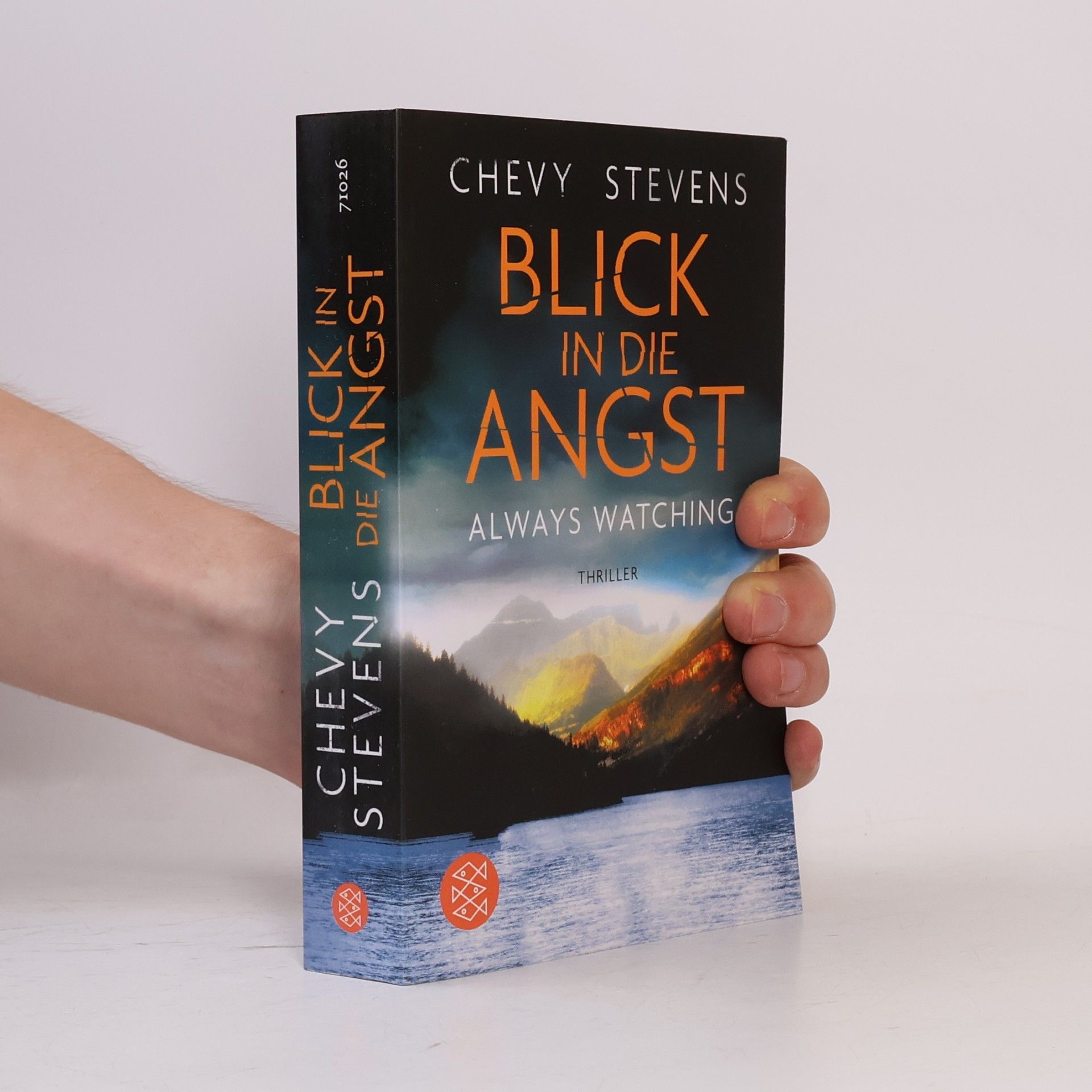 Chevy Stevens Blick in die Angst