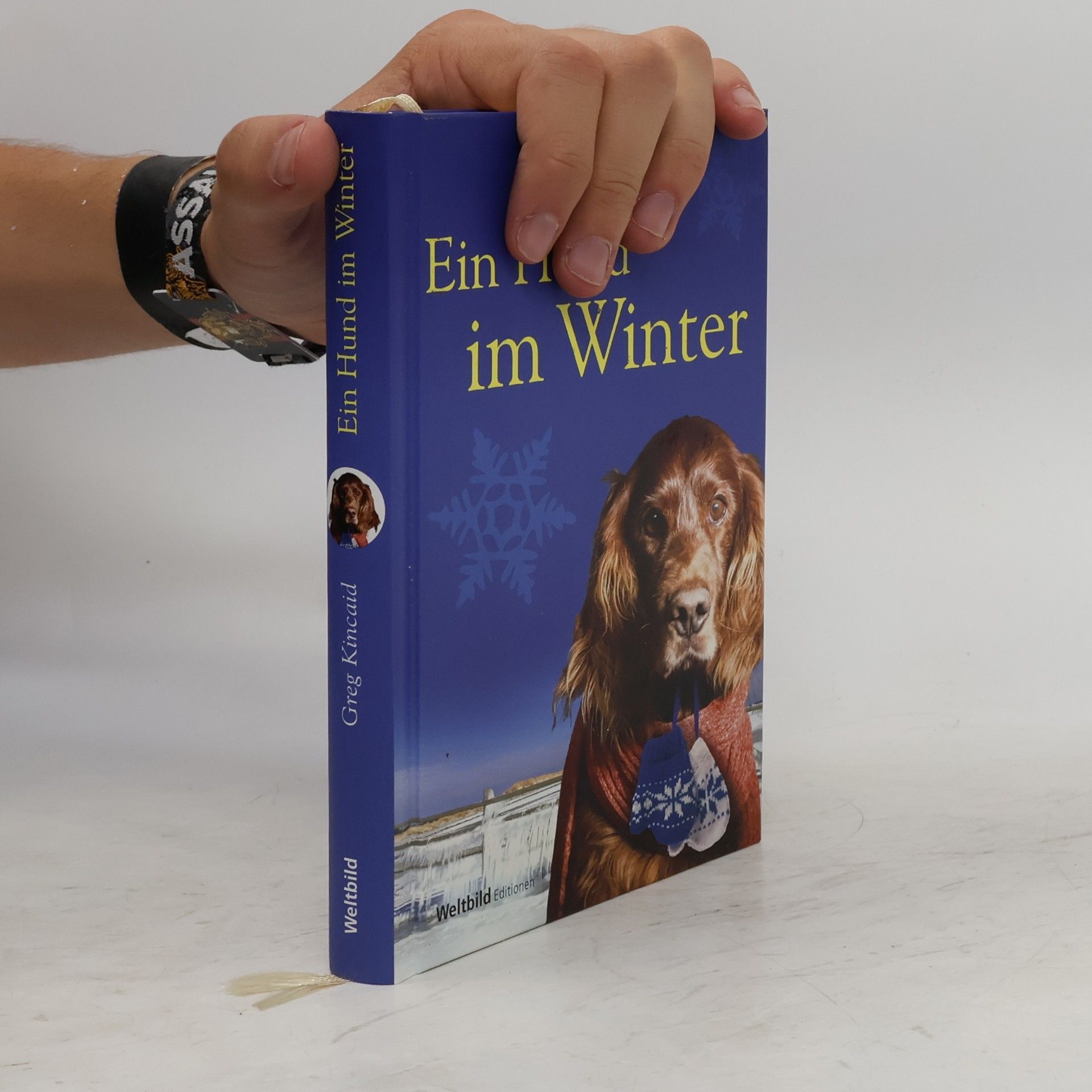 Greg Kincaid Ein Hund im Winter