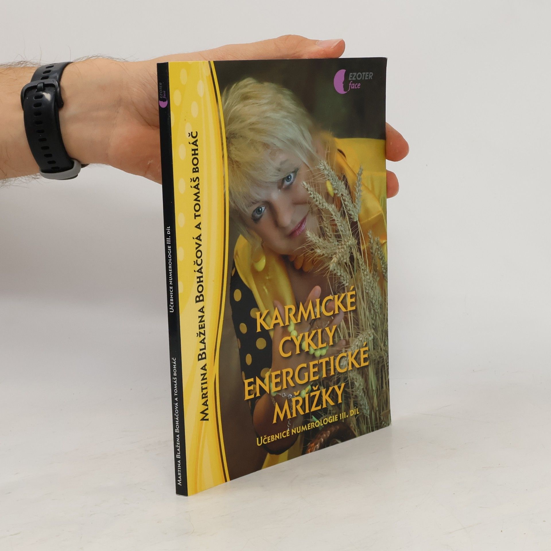 Učebnice numerologie. 3. díl, Karmické cykly energetické mřížky