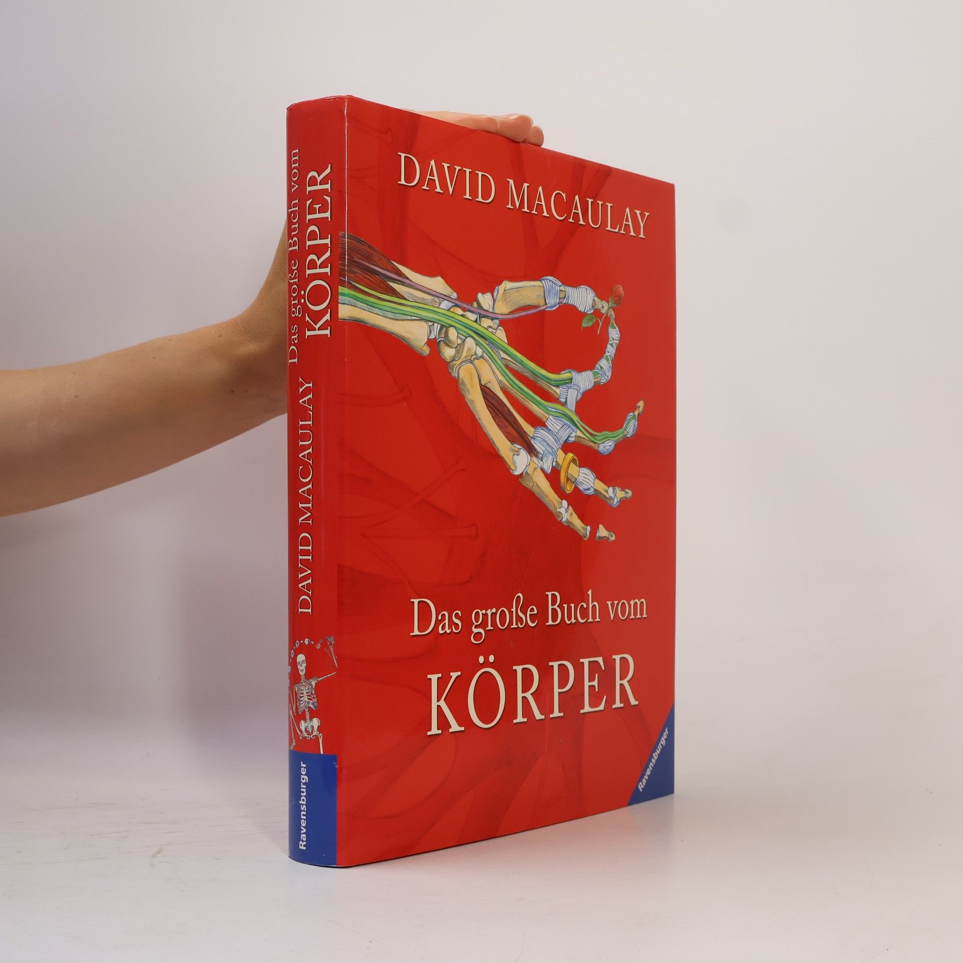 Das große Buch vom Körper