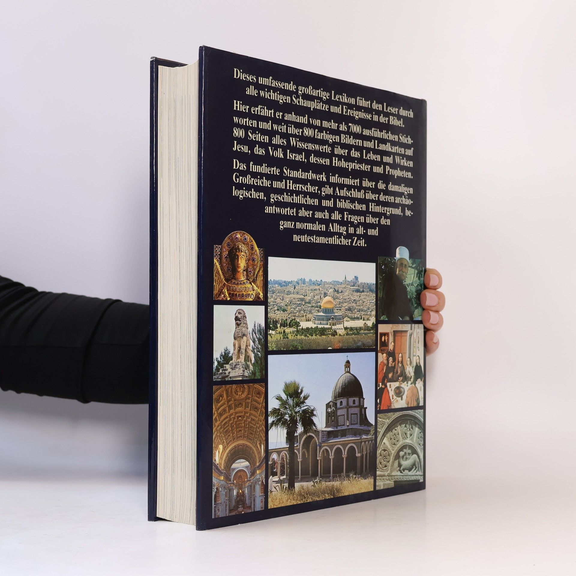 Matthias Stubhann Die Bibel von A-Z. Das aktuelle Lexikon zur Bibel