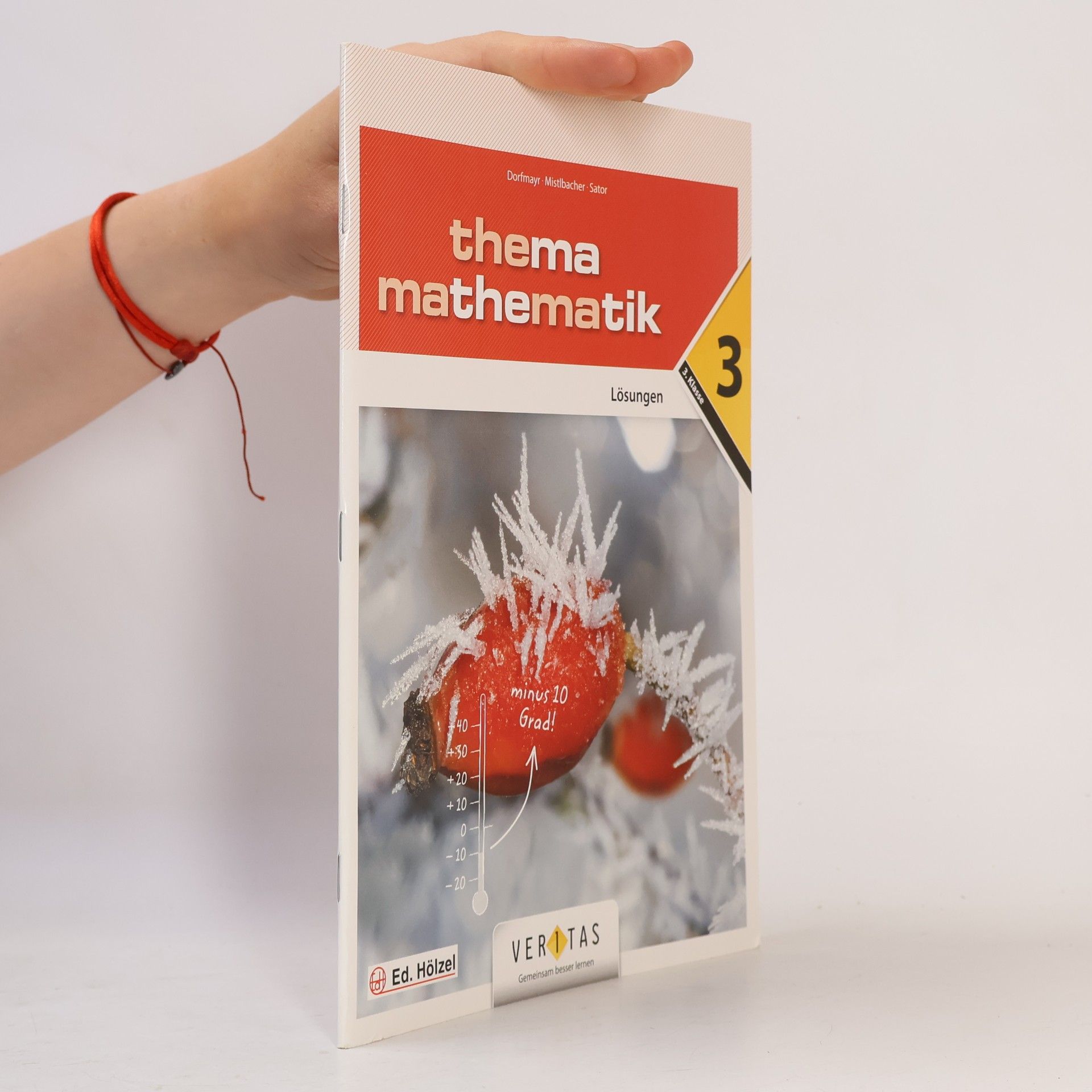 Thema Mathematik 3