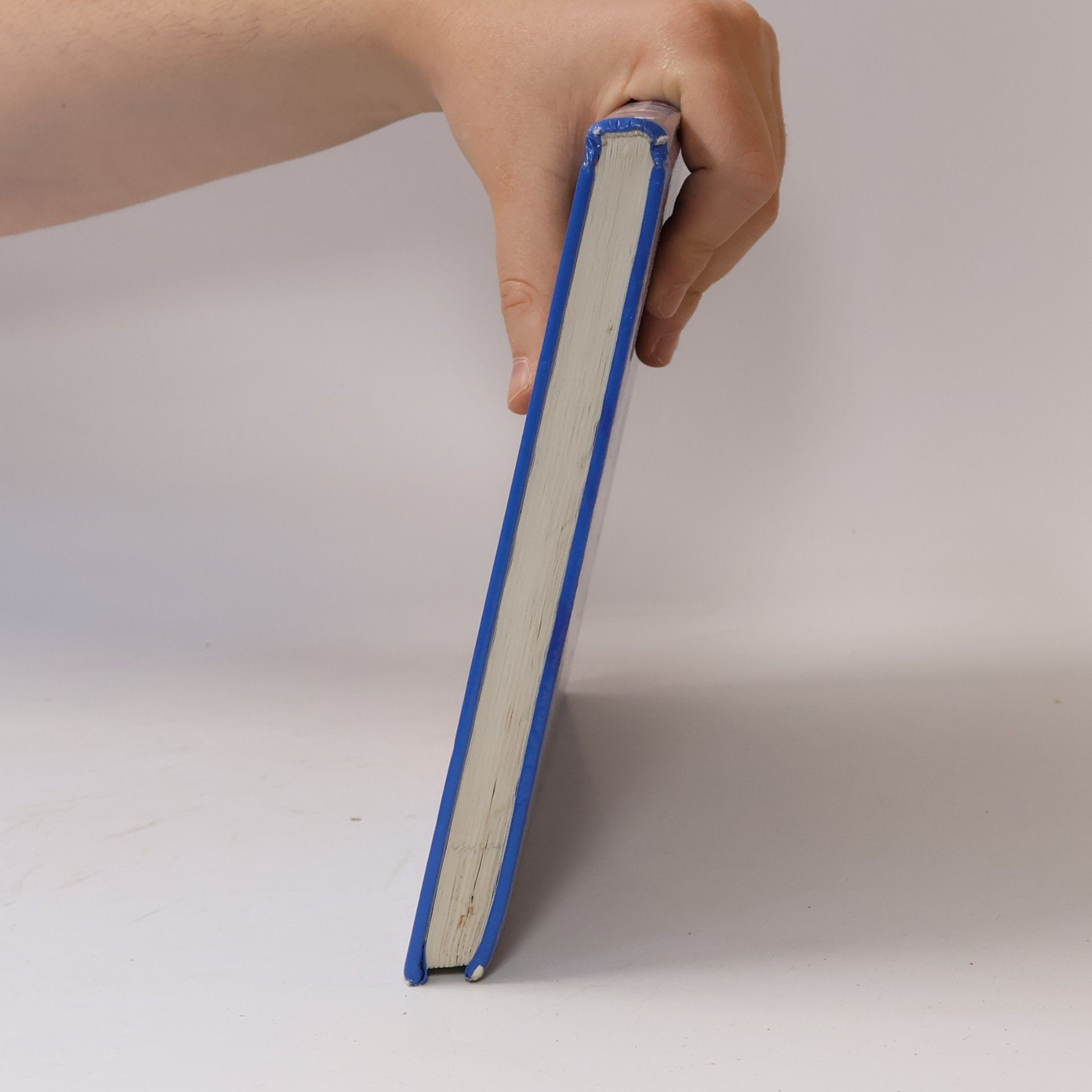 Uli Beyer Das Uli-Beyer-Raubfischbuch