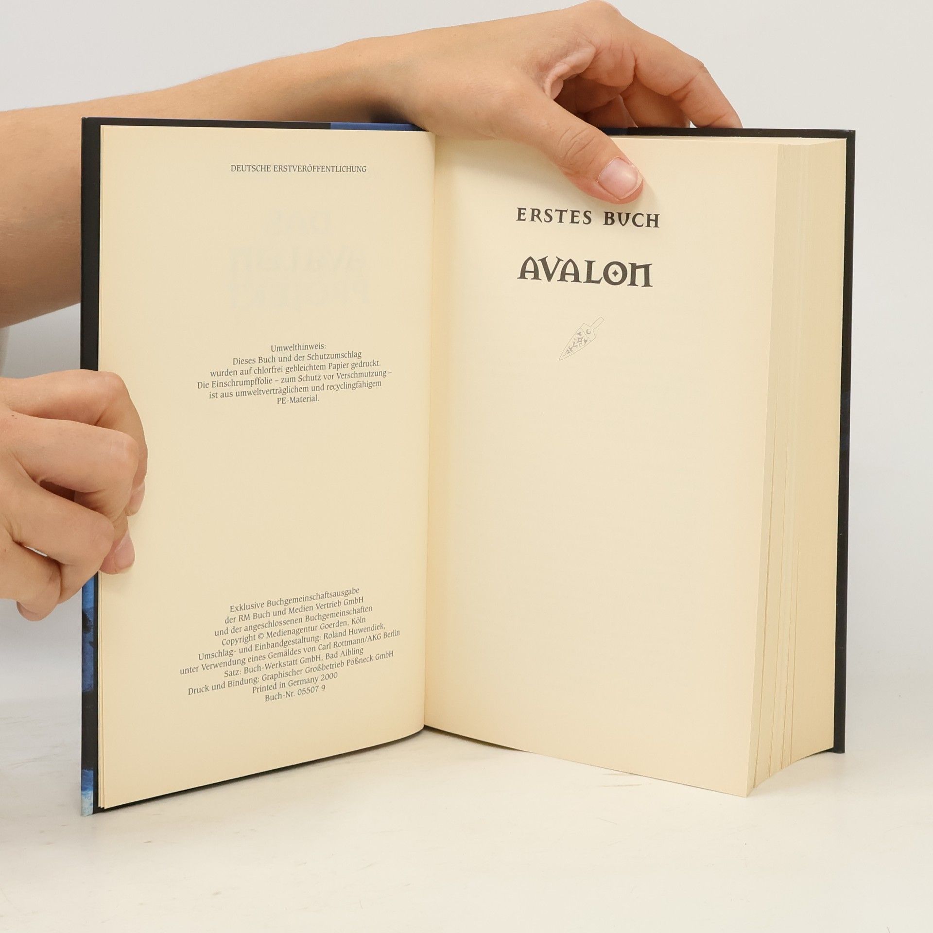 Wolfgang Hohlbein Das Avalon Projekt