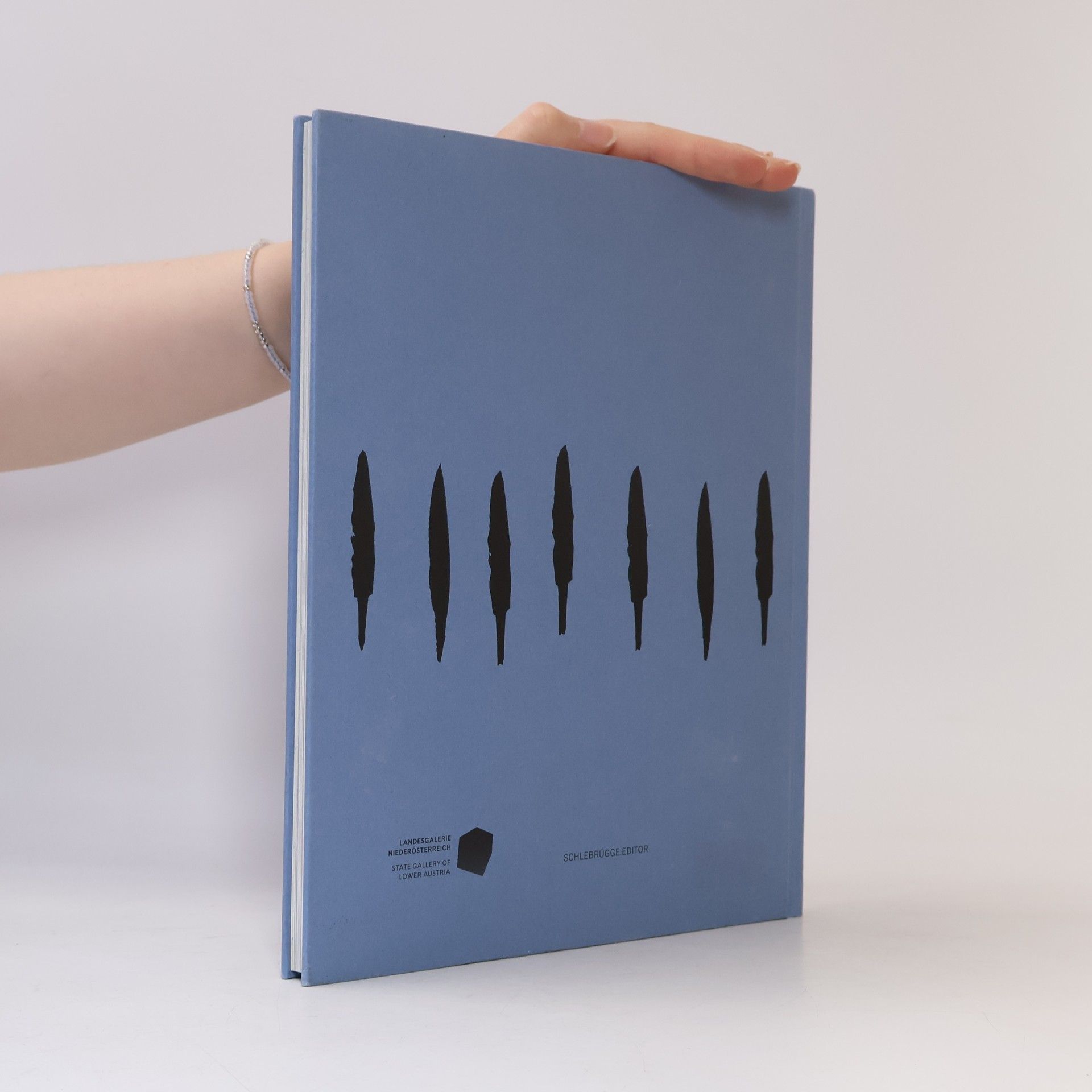 Carola Dertnig Carola Dertnig. Donauspuren Digital Wideness and Other Things