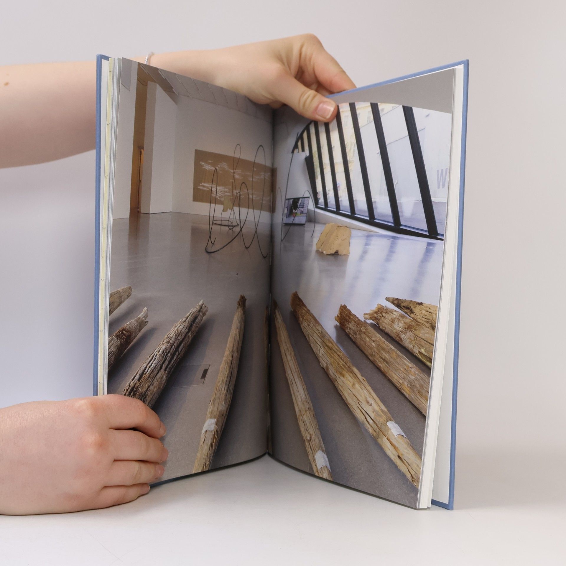 Carola Dertnig Carola Dertnig. Donauspuren Digital Wideness and Other Things
