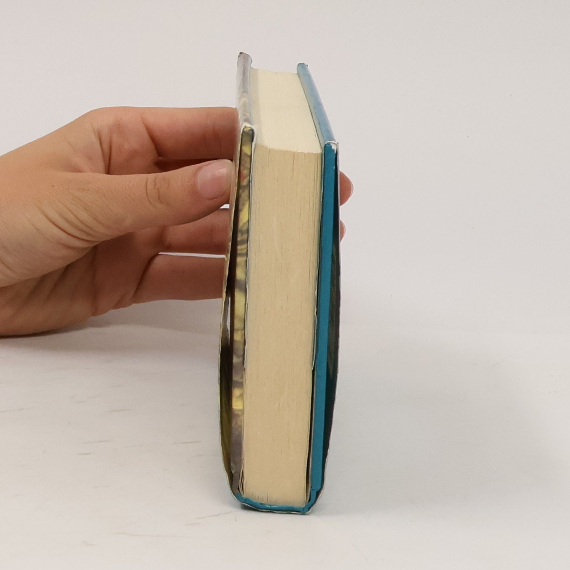 Auteurscollectief Dictionary of British Kings and Queens