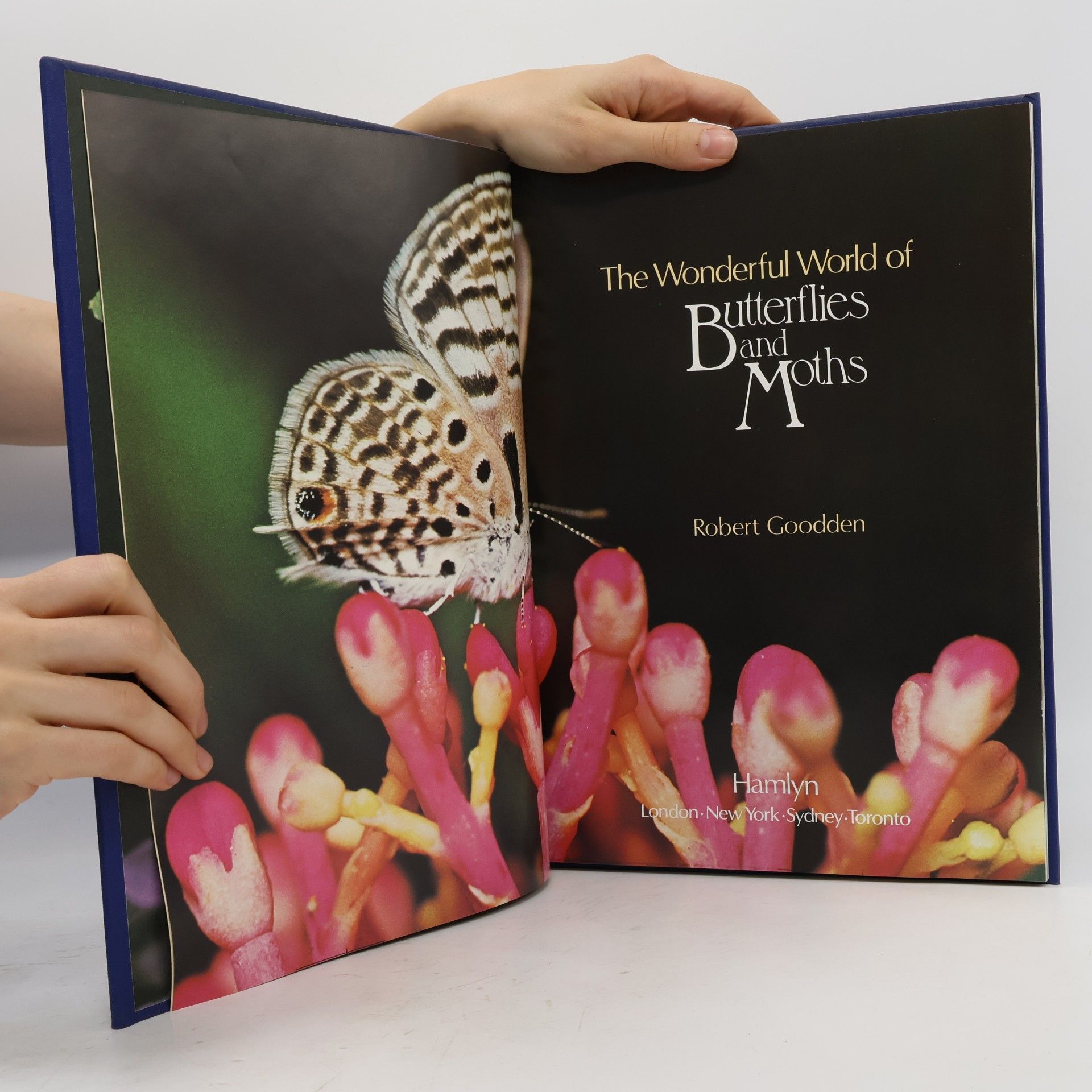 Robert Goodden The Wonderful World of Butterflies and Moths