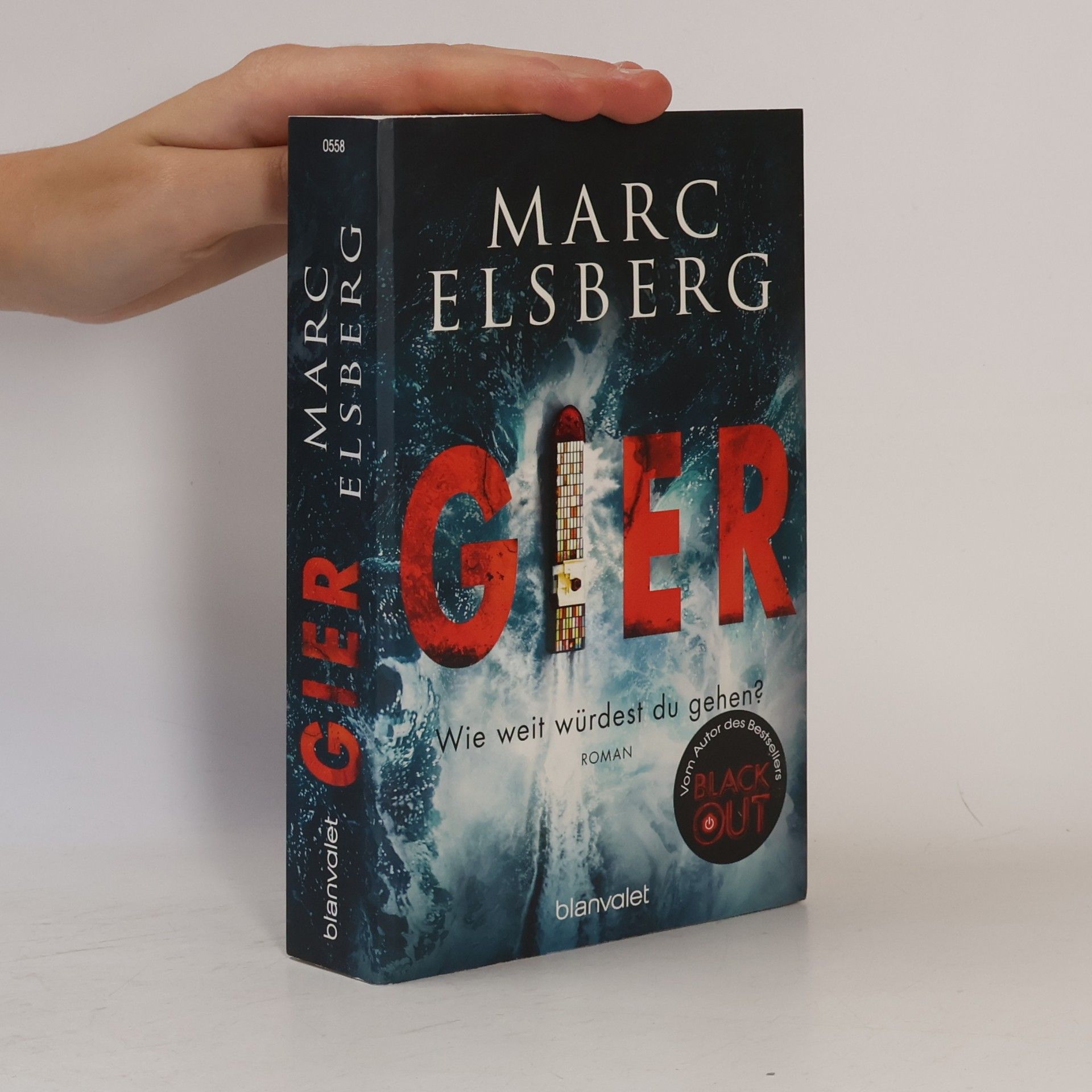 Marc Elsberg Gier