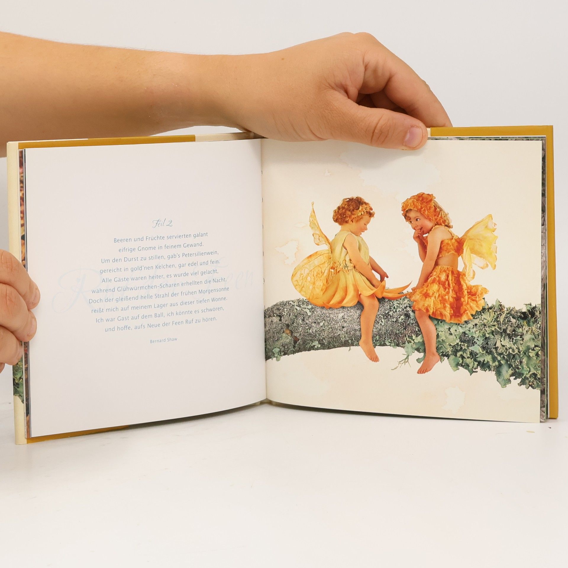 Anne Geddes Feenzauber