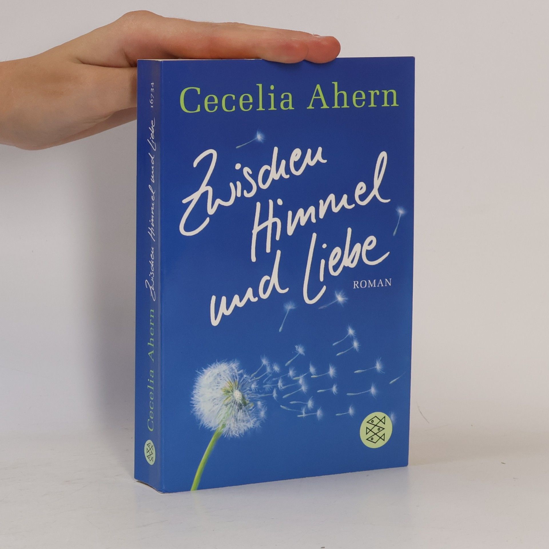 Cecelia Ahern Zwischen Himmel und Liebe