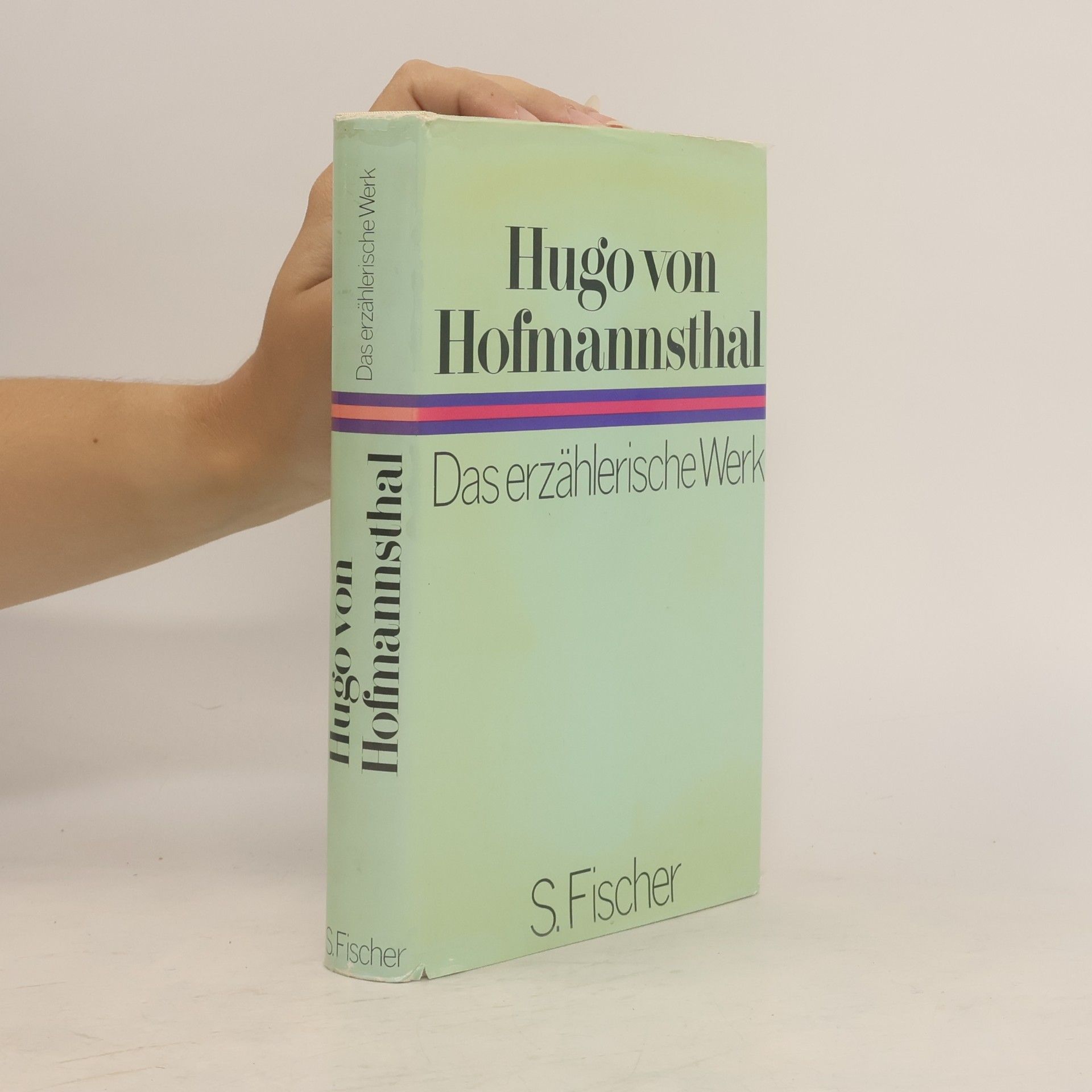 Hugo von Hofmannsthal Das erzählerische Werk