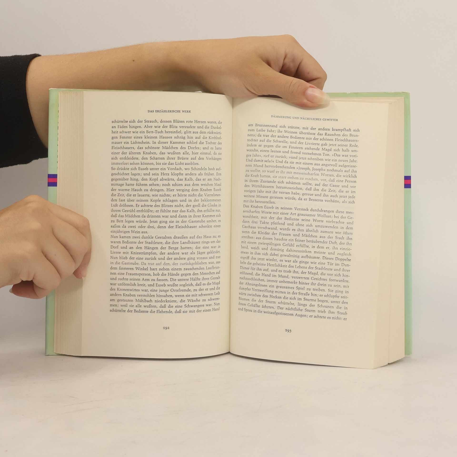 Hugo von Hofmannsthal Das erzählerische Werk