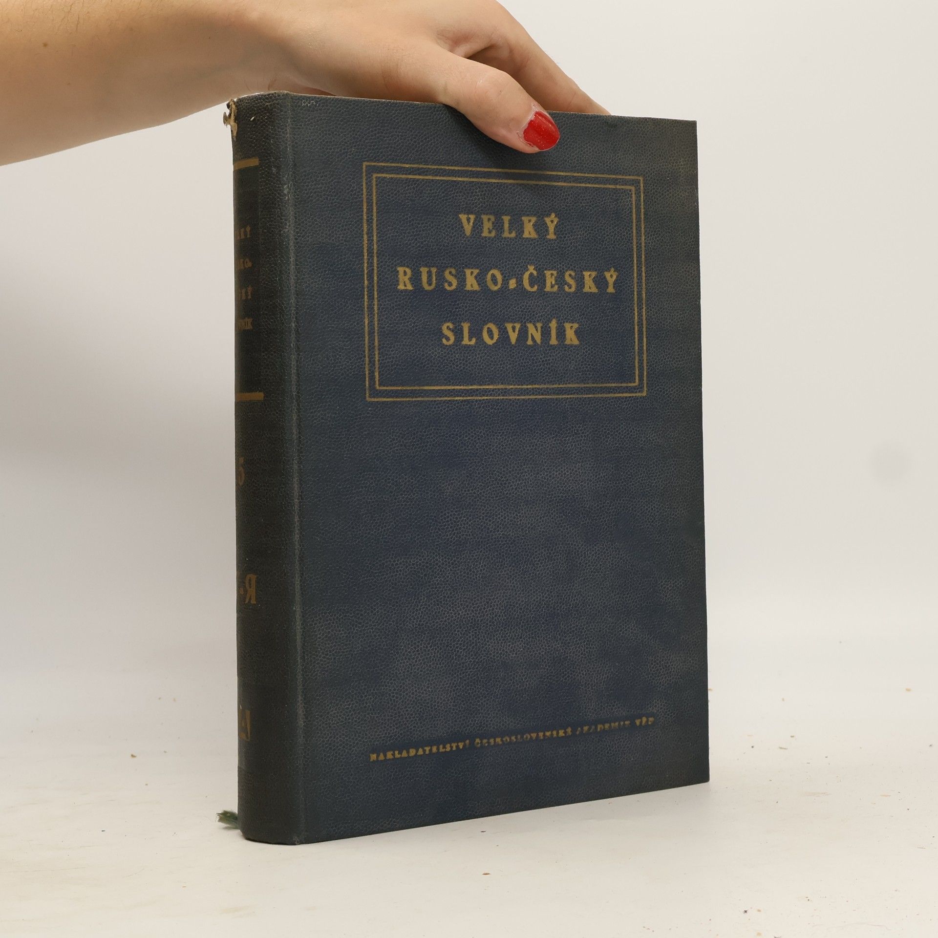Kolektiv autorů Velký rusko-český slovník V.
