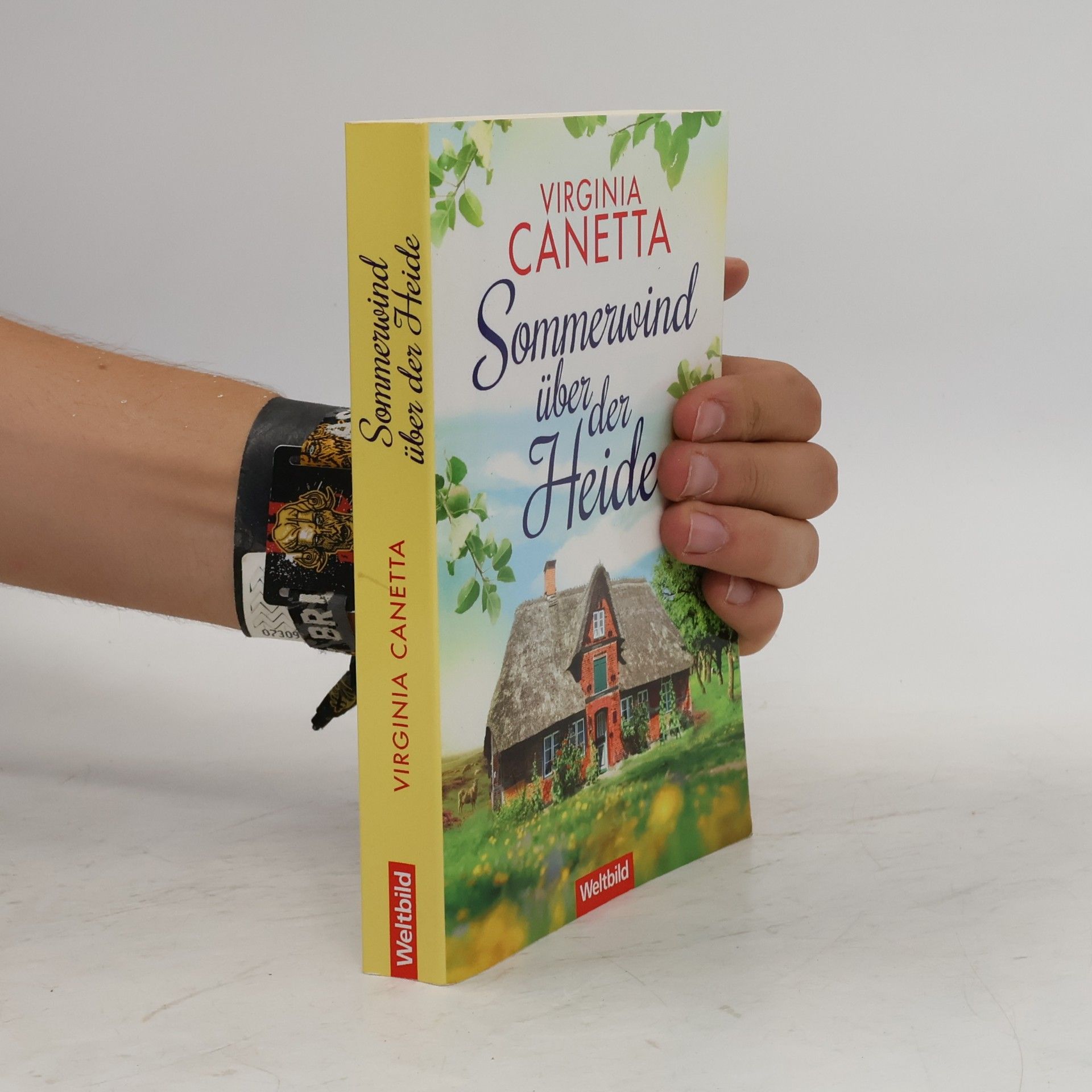 Virginia Canetta Sommerwind über der Heide