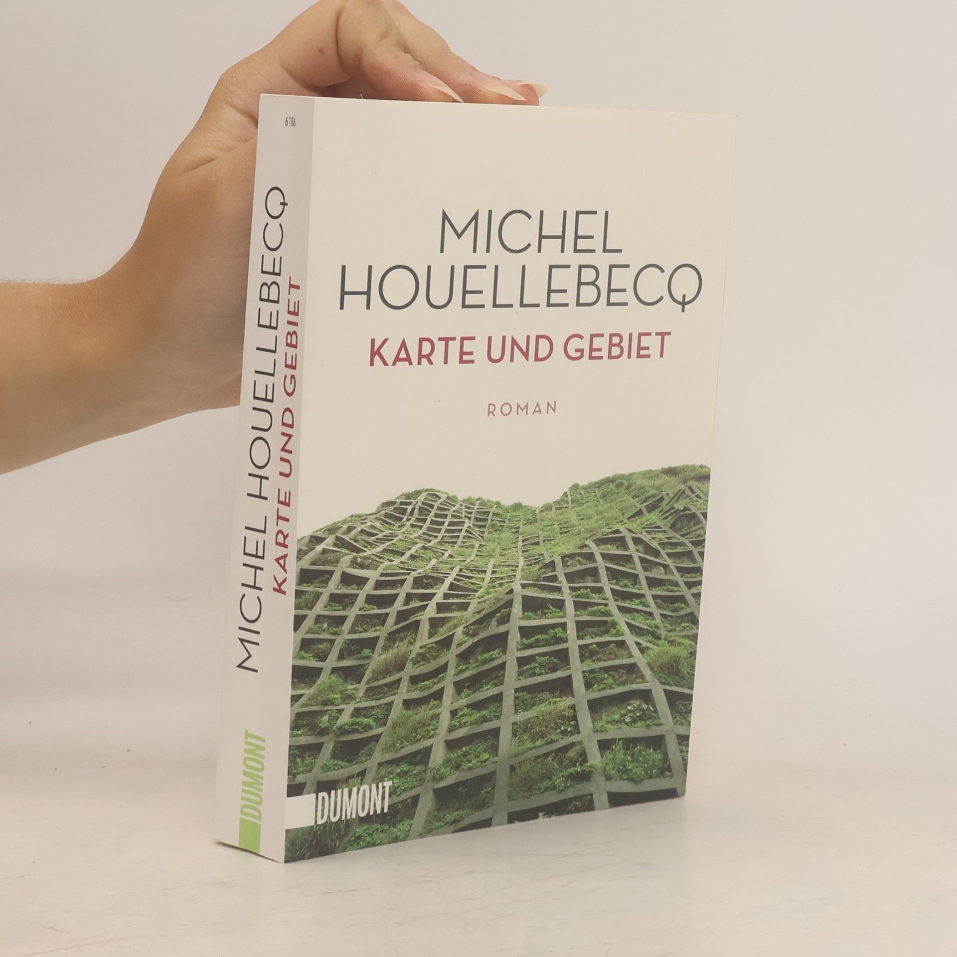 Michel Houellebecq Karte und Gebiet