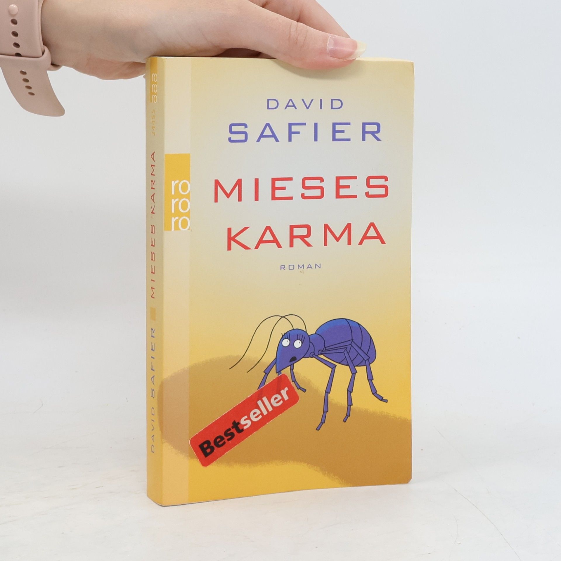 David Safier Mieses Karma