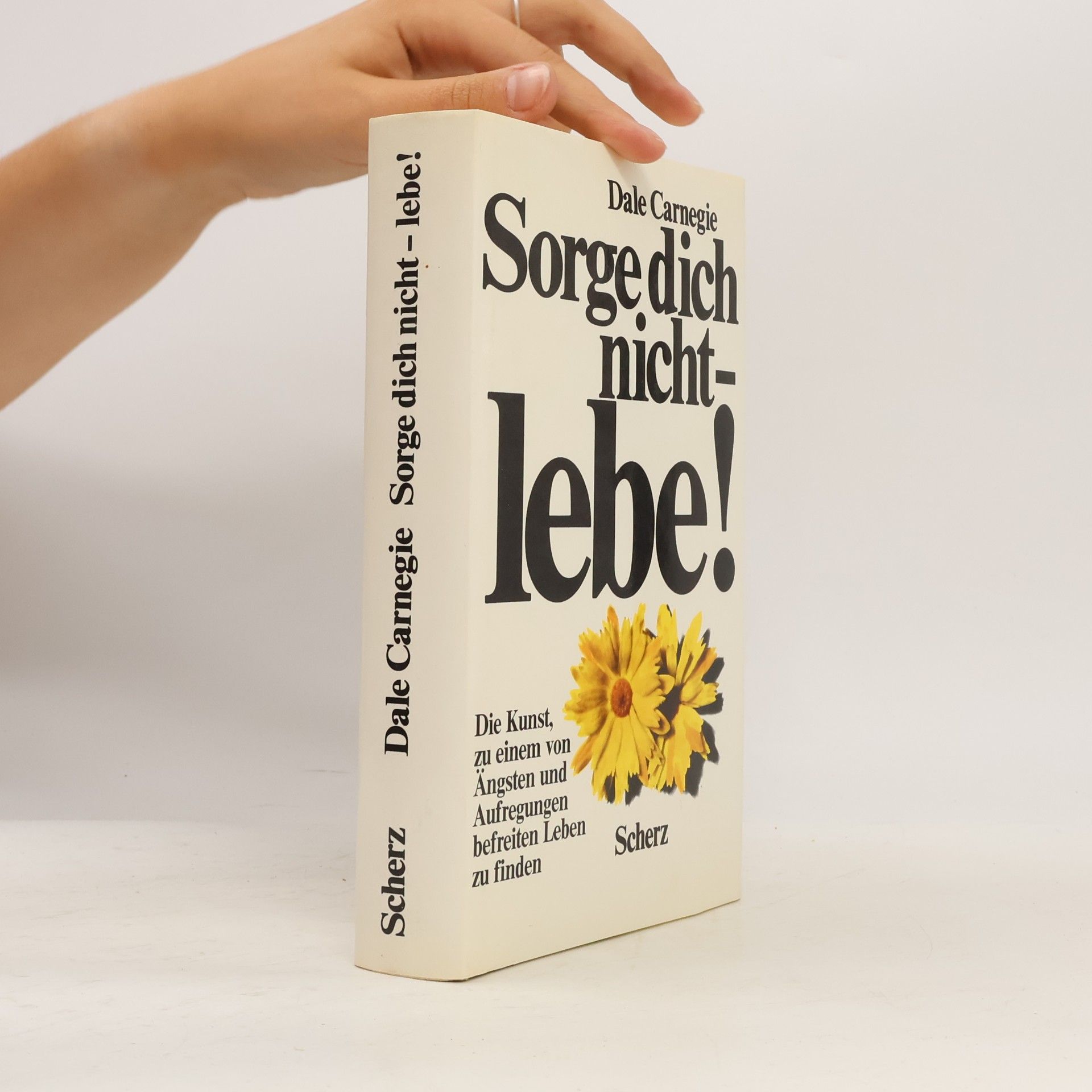 Dale Carnegie Sorge dich nicht - lebe!