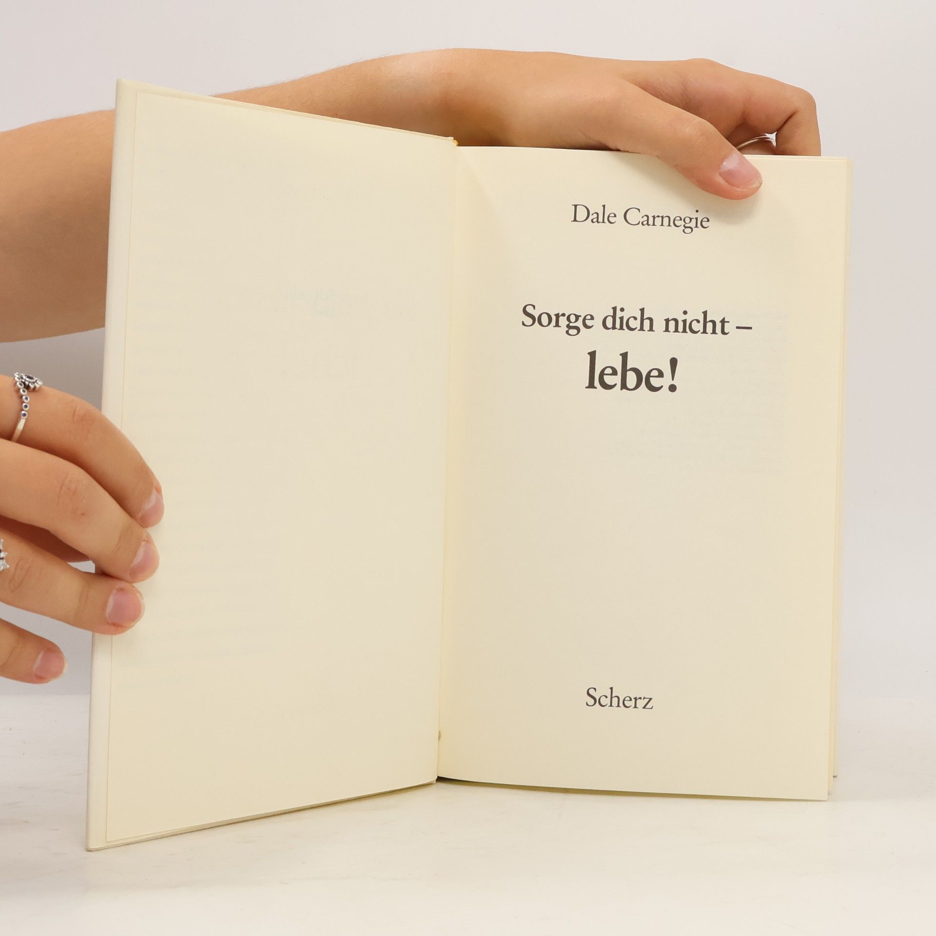 Dale Carnegie Sorge dich nicht - lebe!