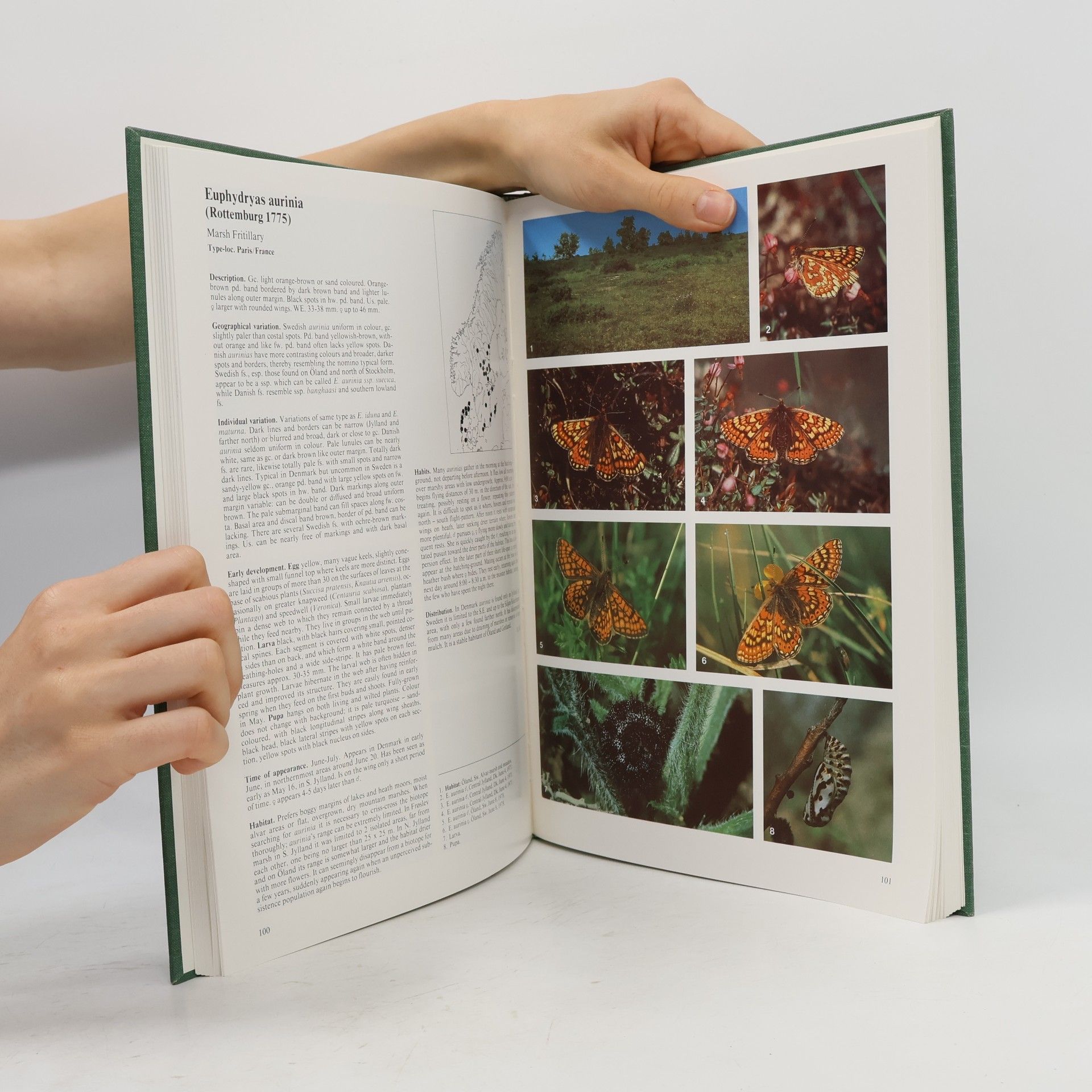 H. J. Henriksen The Butterflies of Scandinavia in Nature